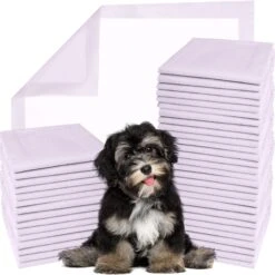 Green Lifestyle Disposable Lavender Scented Dog & Cat Pee Pads, 100 Count