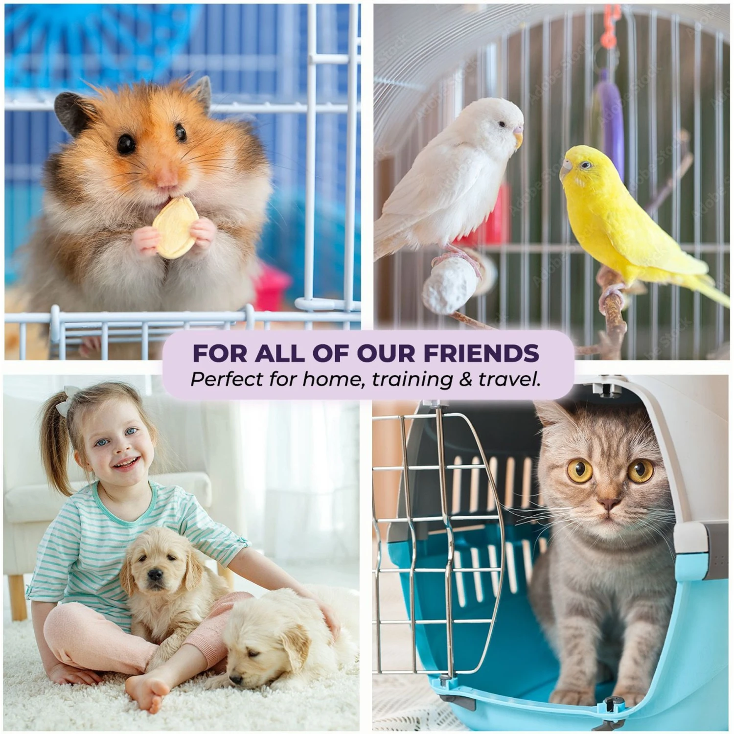 Green Lifestyle Disposable Lavender Scented Dog & Cat Pee Pads, 100 Count - Image 6