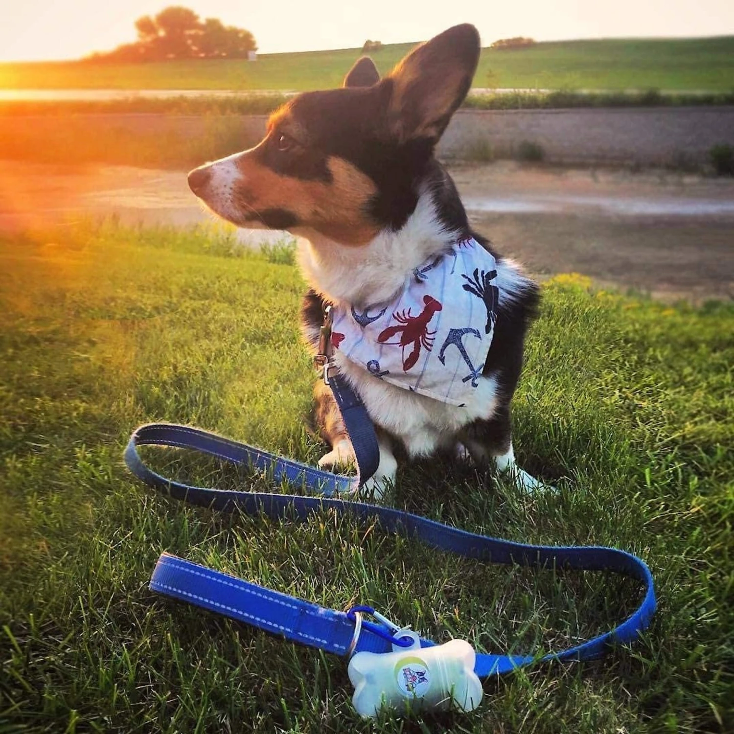 Pogi's Pet Supplies Poop Bags With 2 Dispensers - Image 7