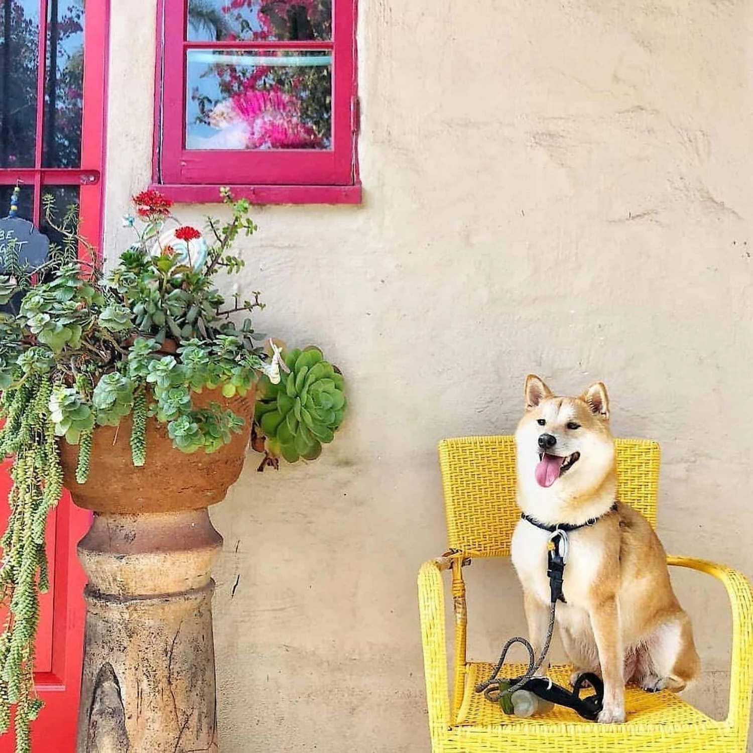 Pogi's Pet Supplies Poop Bags With 2 Dispensers - Image 8