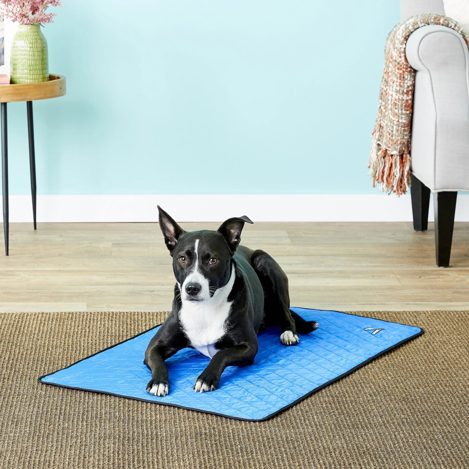 TechNiche International Evaporative Cooling Dog Pad