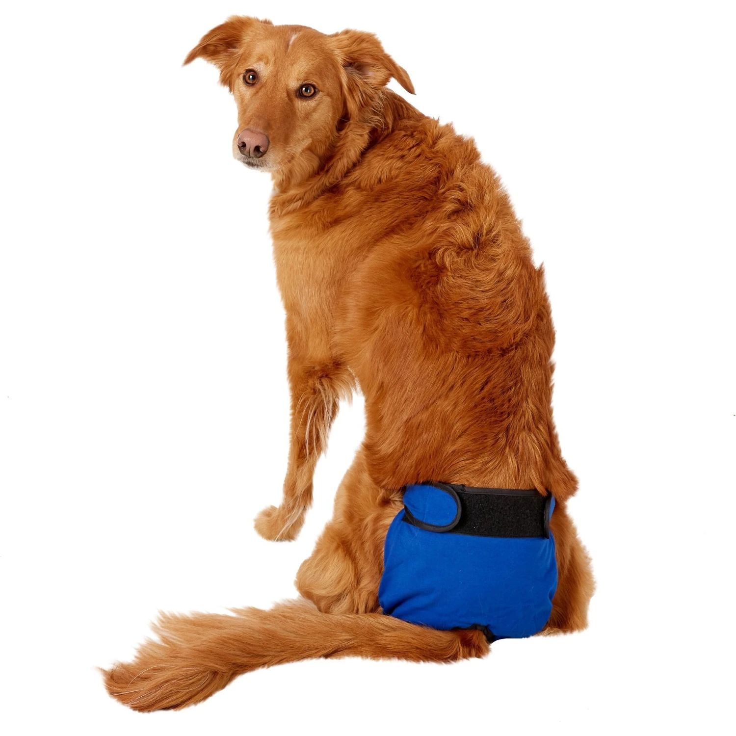 Wee-Wee Disposable Dog Diaper Super Absorbent Liner Pads - Image 8