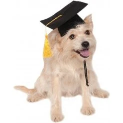 Rubie's Costume Company Graduation Hat Dog & Cat Costume