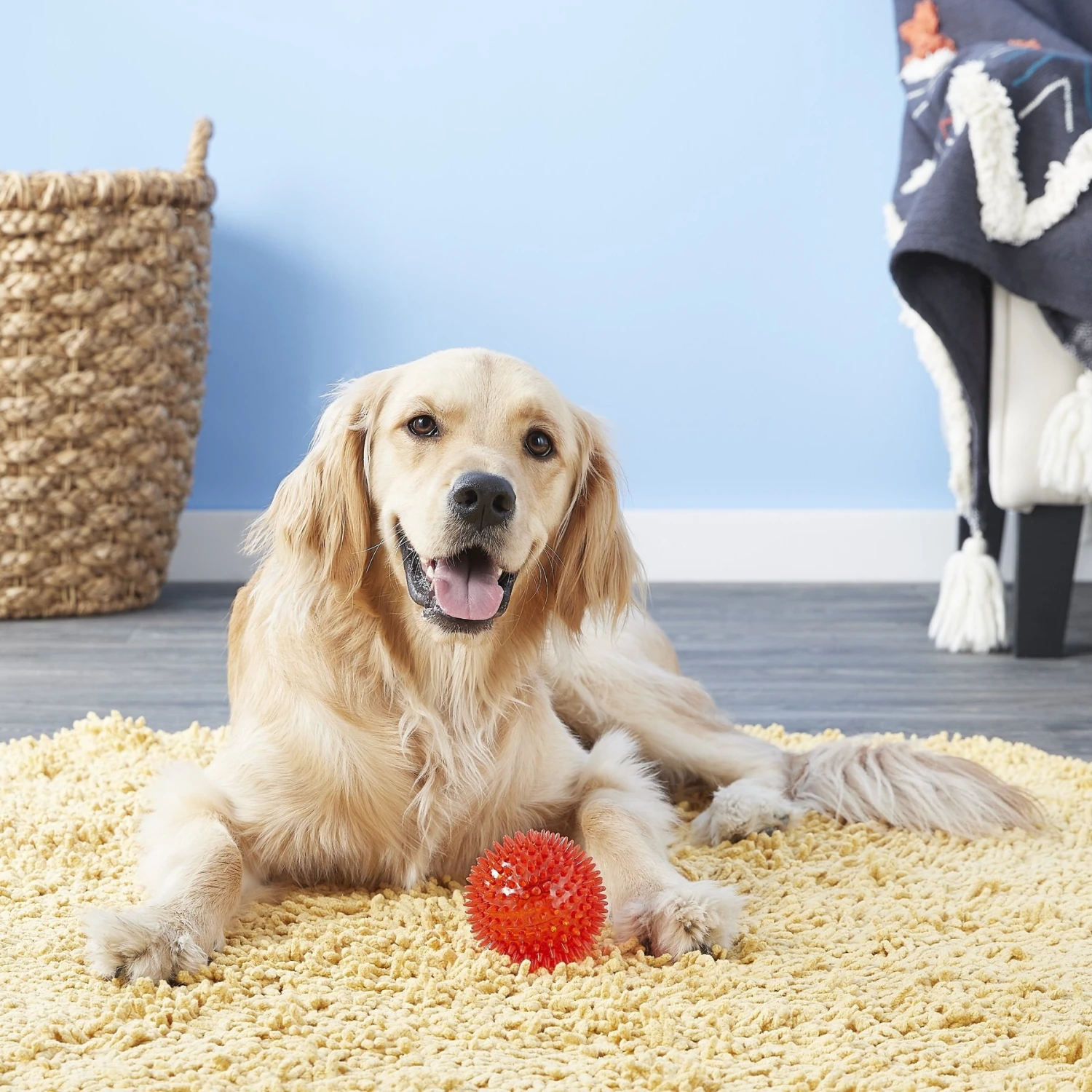 Gnawsome Squeaker Ball Dog Toy, Color Varies - Image 2