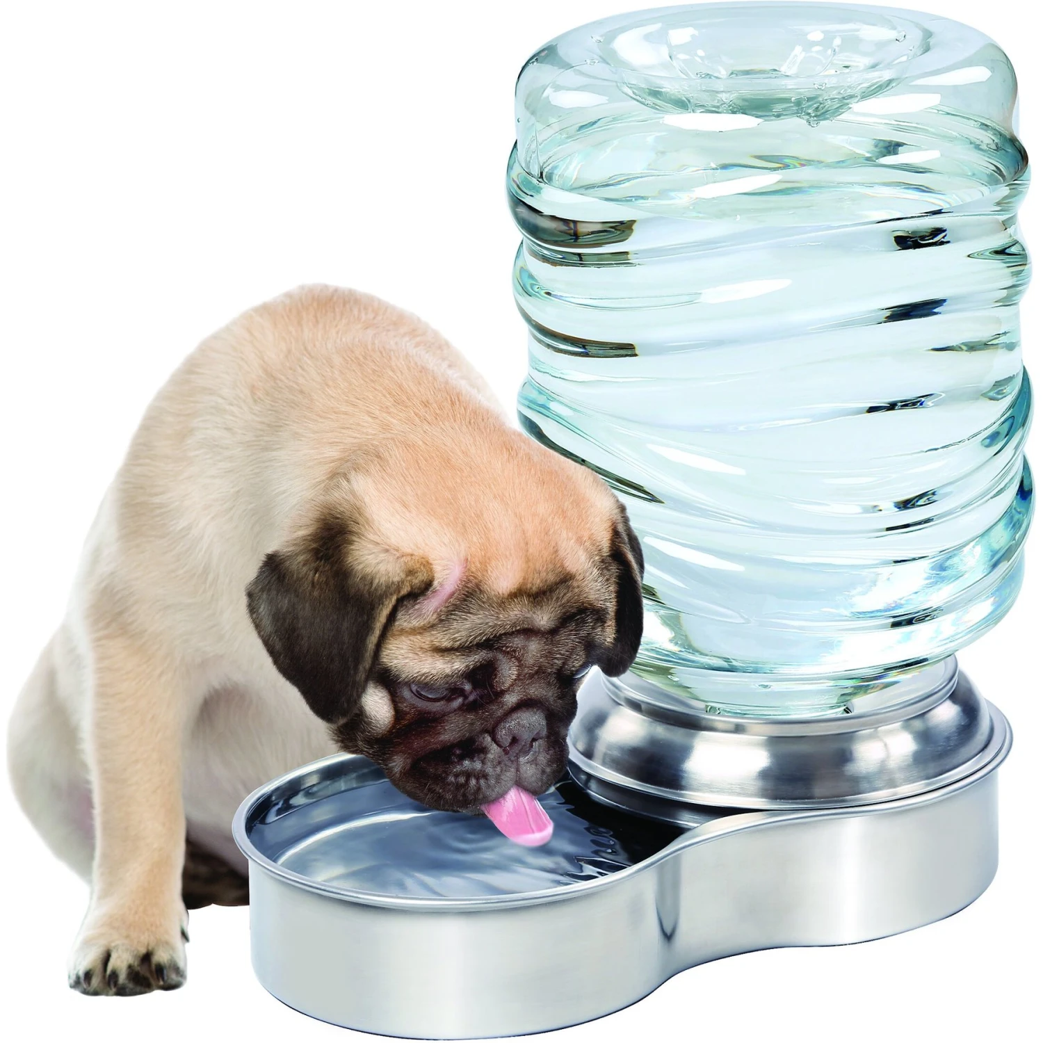 Etna Stainless Steel Gravity Refill Dog & Cat Waterer, 96-oz - Image 3