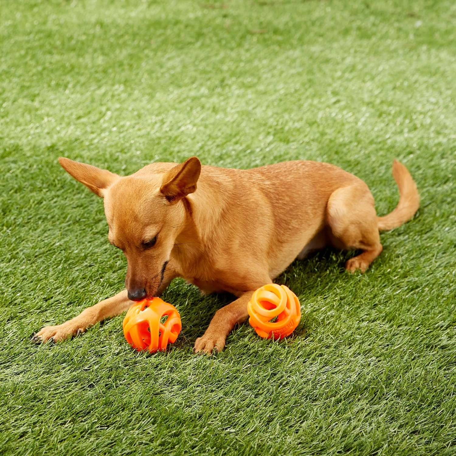 Chuckit! Air Fetch Ball 2-Pack Dog Toy - Image 3