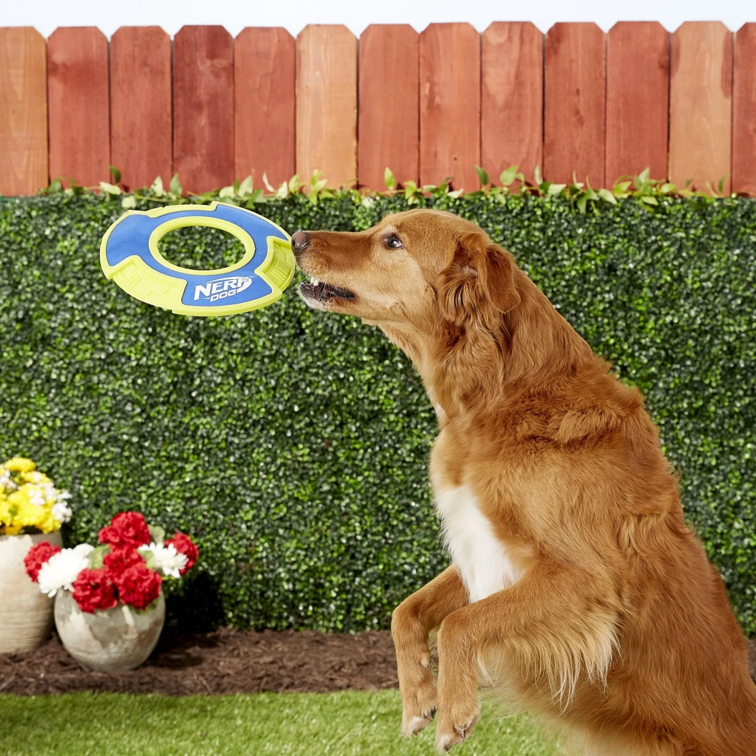 Nerf Dog Nylon & Foam Mega Tuff Fabric Flyer Dog Toy - Image 2