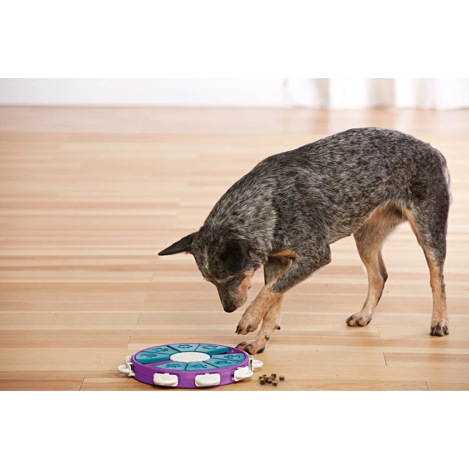 Nina Ottosson By Outward Hound Twister Puzzle Game Dog Toy - Image 7