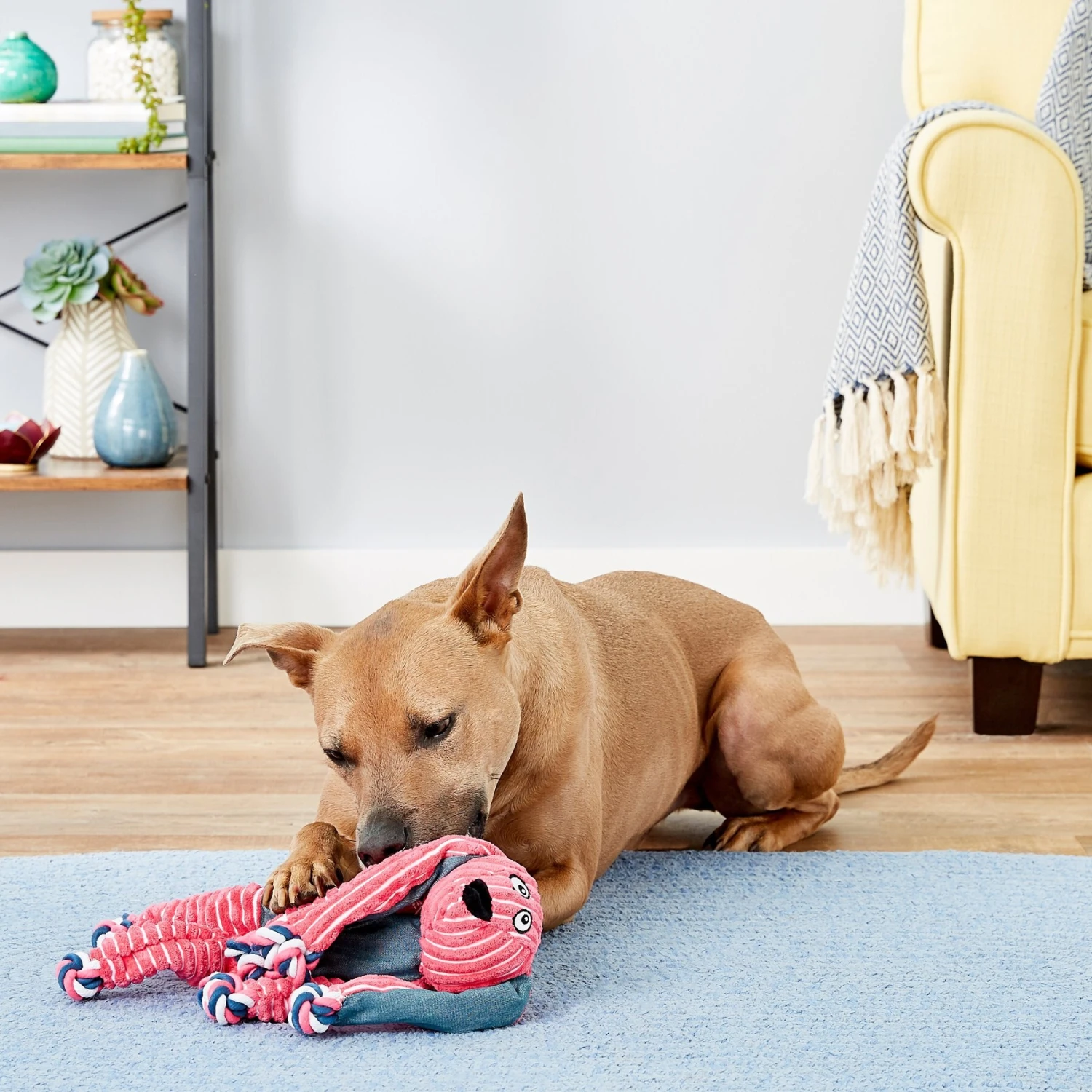 KONG Floppy Knots Dog Toy, Bunny - Image 2