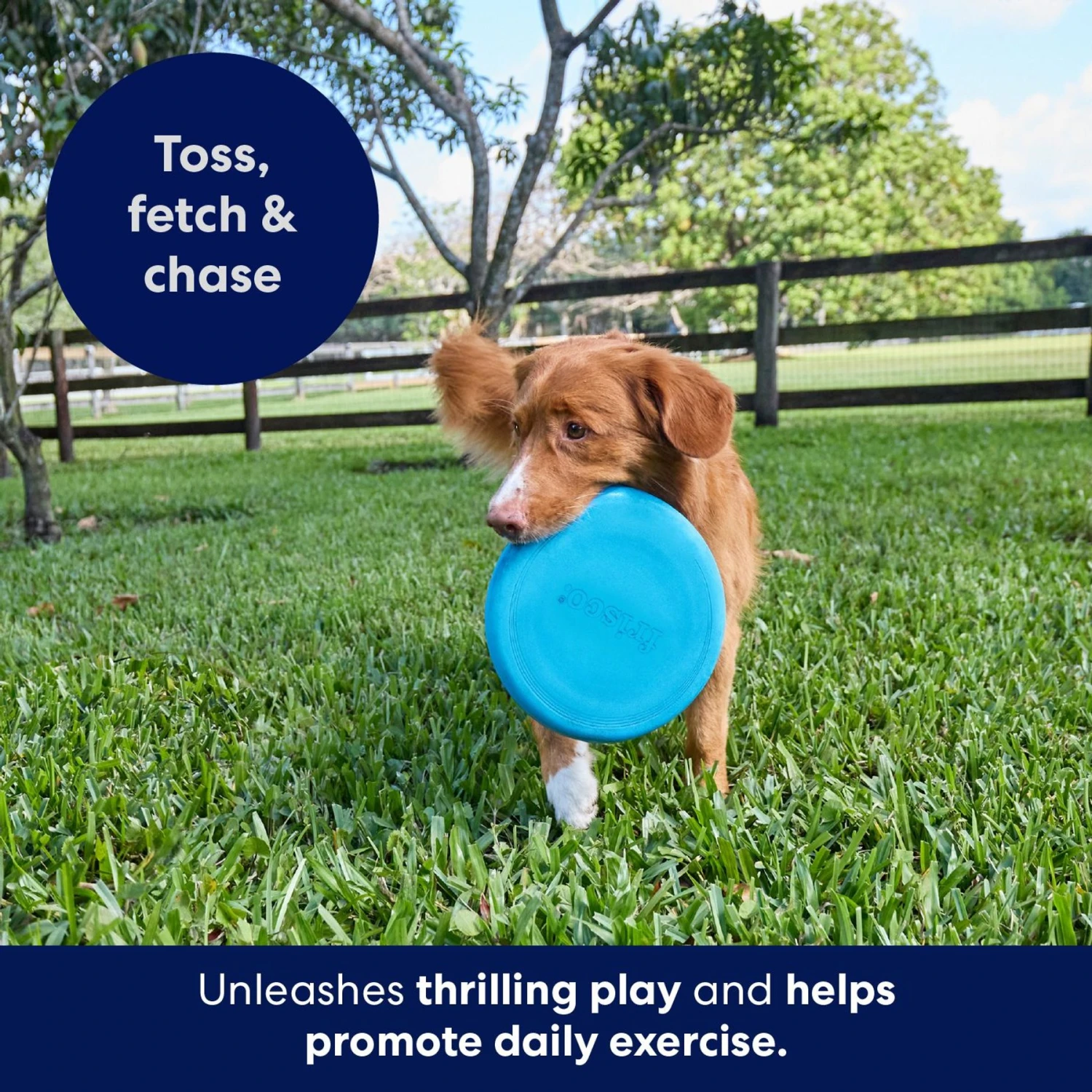 Frisco Fetch Rubber Flyer Dog Toy - Image 3