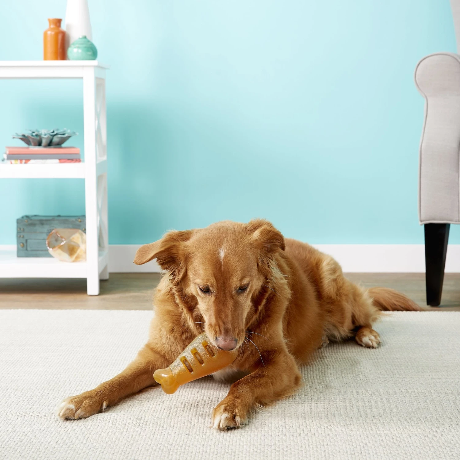 Starmark Treat Ringer FlexGrip Turkey Leg Tough Dog Chew Toy - Image 3