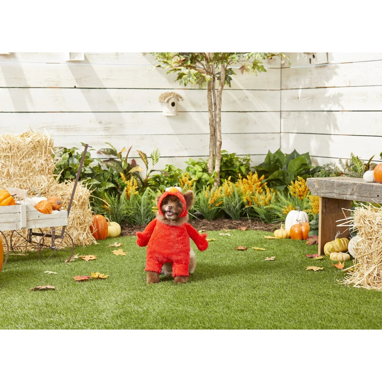 Pet Krewe Sesame Street Elmo Dog & Cat Costume - Image 3