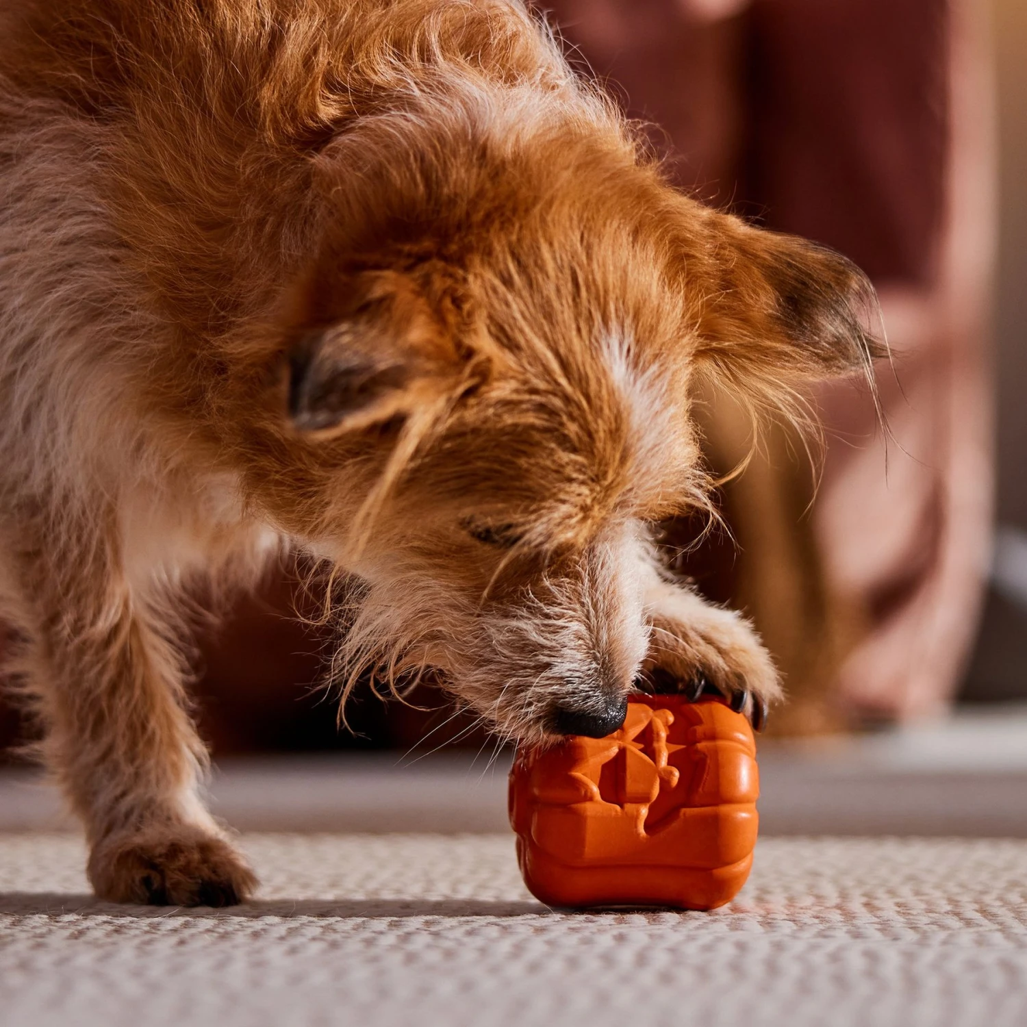 Frisco Halloween Pumpkin Rubber Treat Dispenser Dog Toy, Medium/Large - Image 6