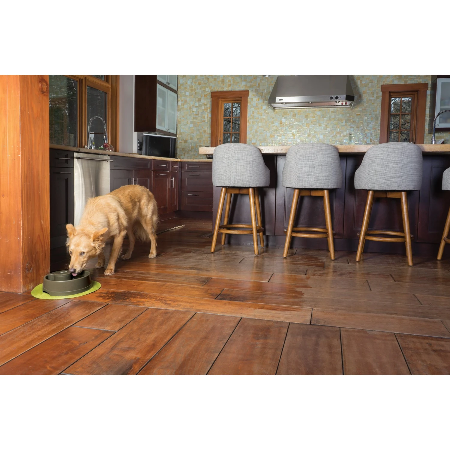 PetSafe Current Circulating Pet Fountain - Image 3