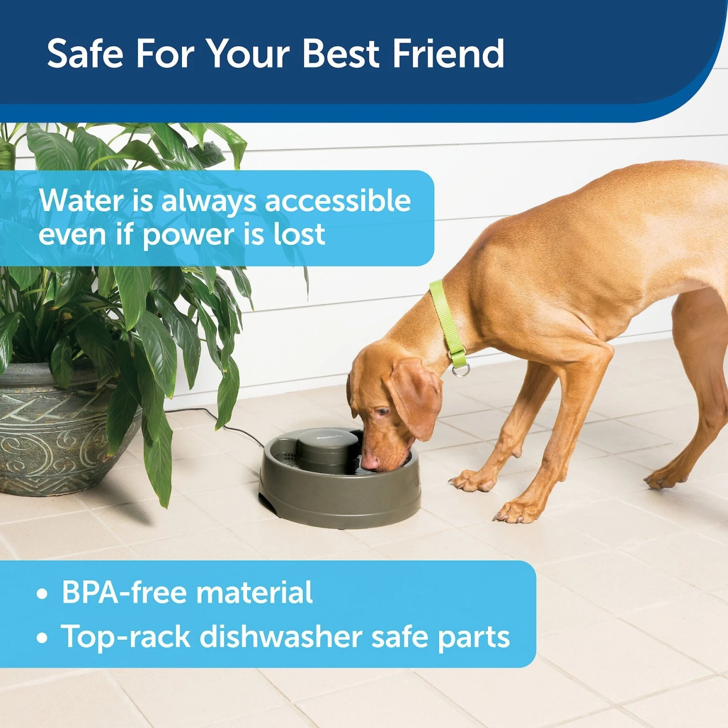 PetSafe Current Circulating Pet Fountain - Image 6