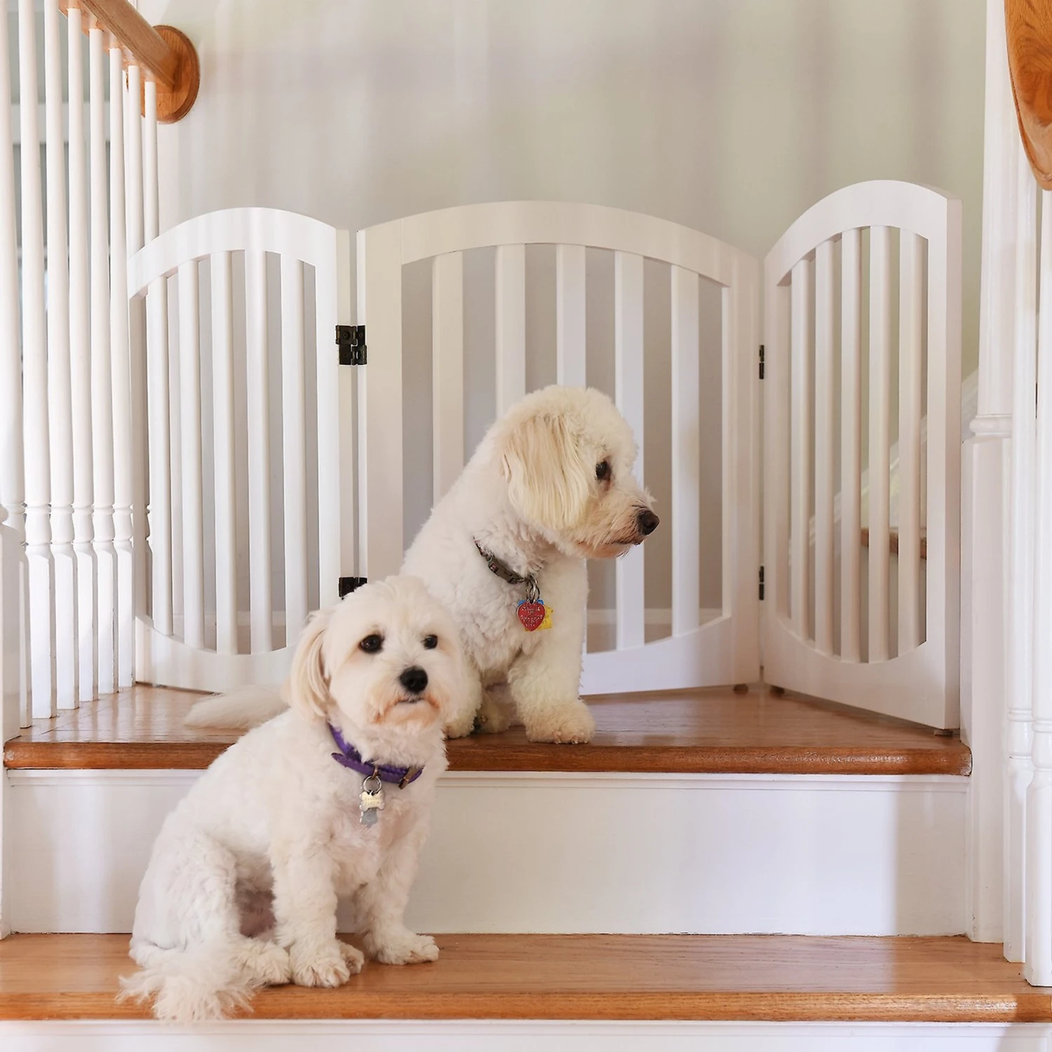 Arf Pets Free-Standing Wood Dog & Cat Gate