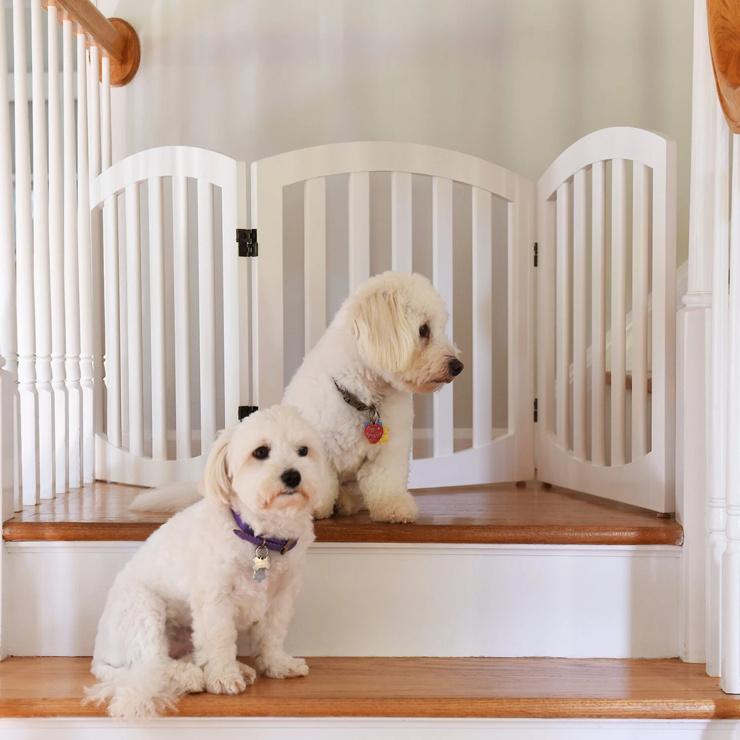 Arf Pets Free-Standing Wood Dog & Cat Gate - Image 4