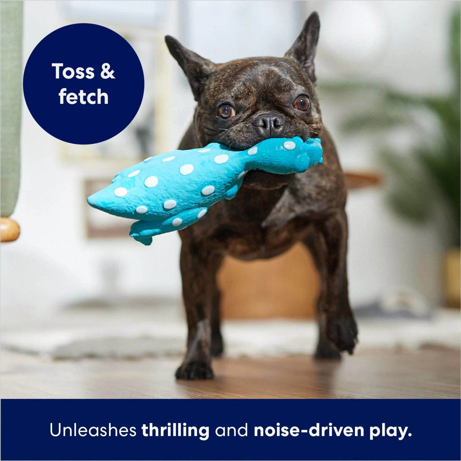 Frisco Dinosaur Latex Squeaky Dog Toy - Image 4