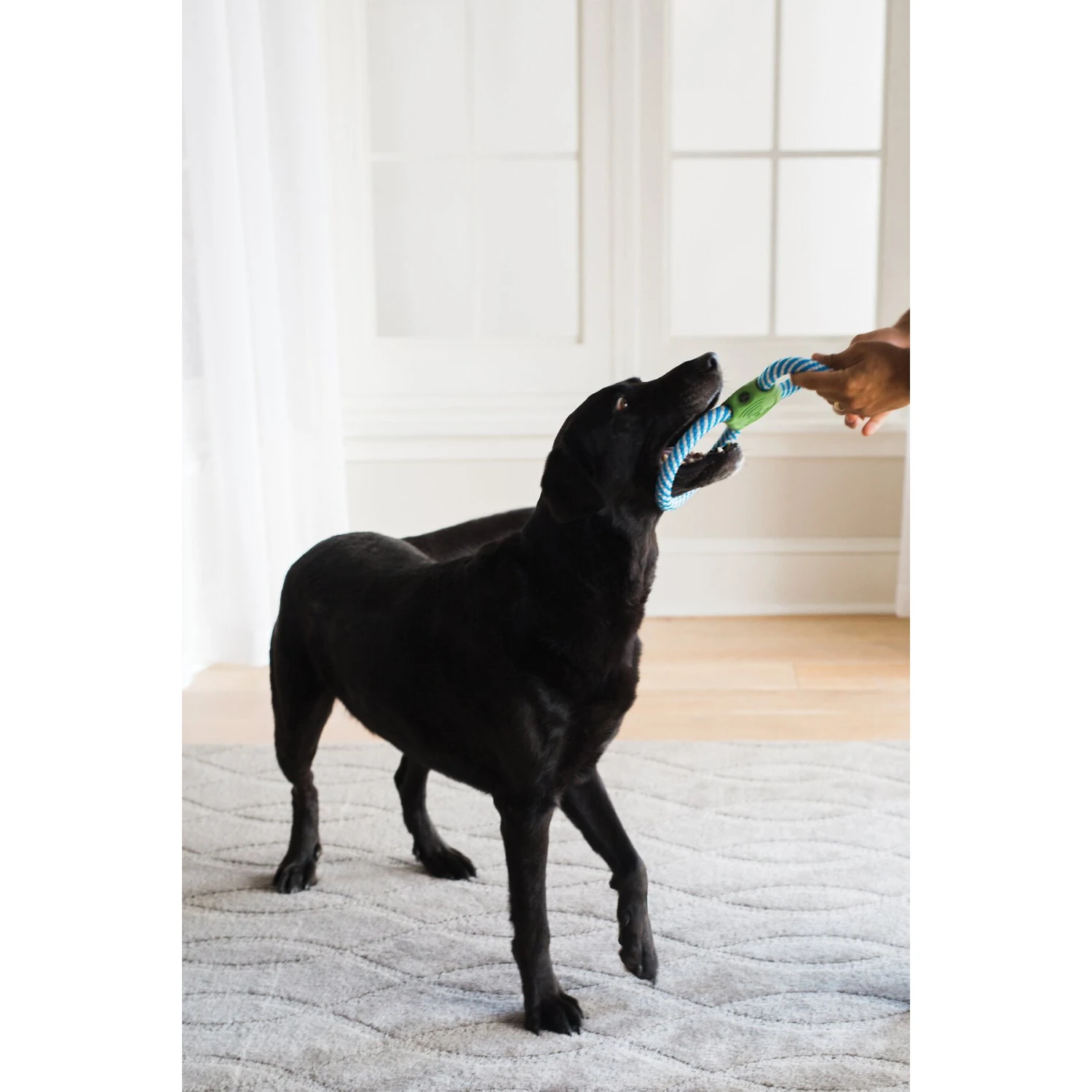 JW Pet Giggle Tug Dog Toy - Image 2