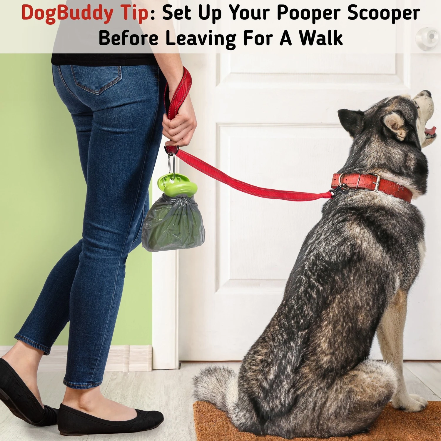 DogBuddy Dog Pooper Scooper - Image 8