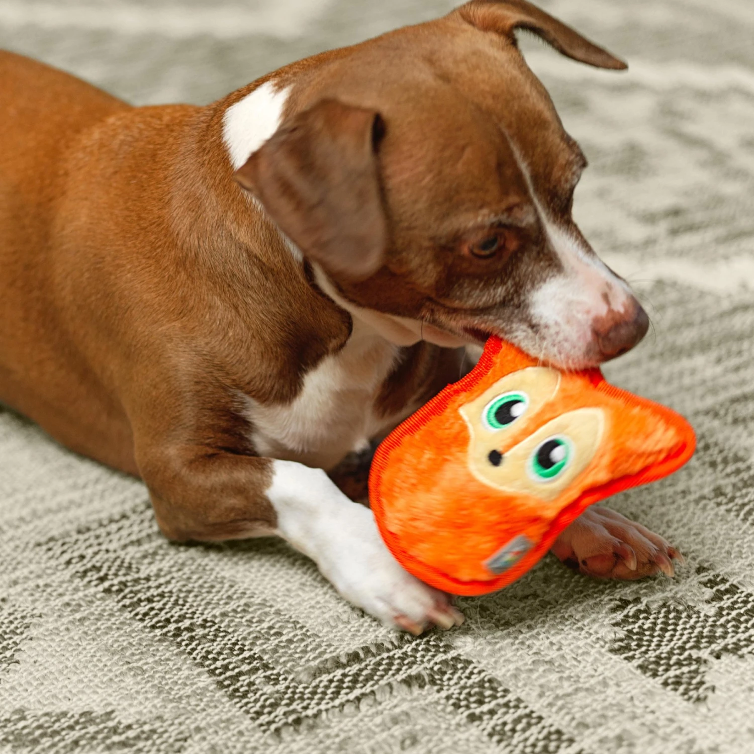 Outward Hound Invincibles Squeaky Stuffing-Free Plush Dog Toy - Image 5