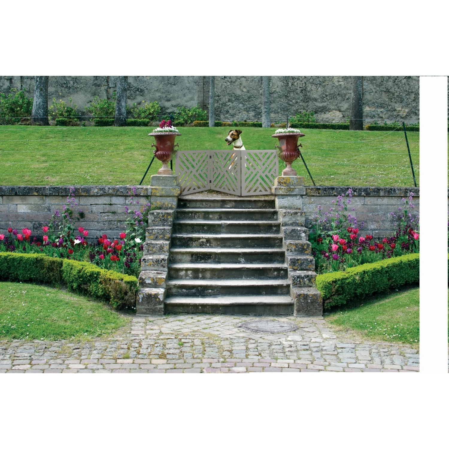 Etna Wood Lattice Design Pet Gate - Image 4