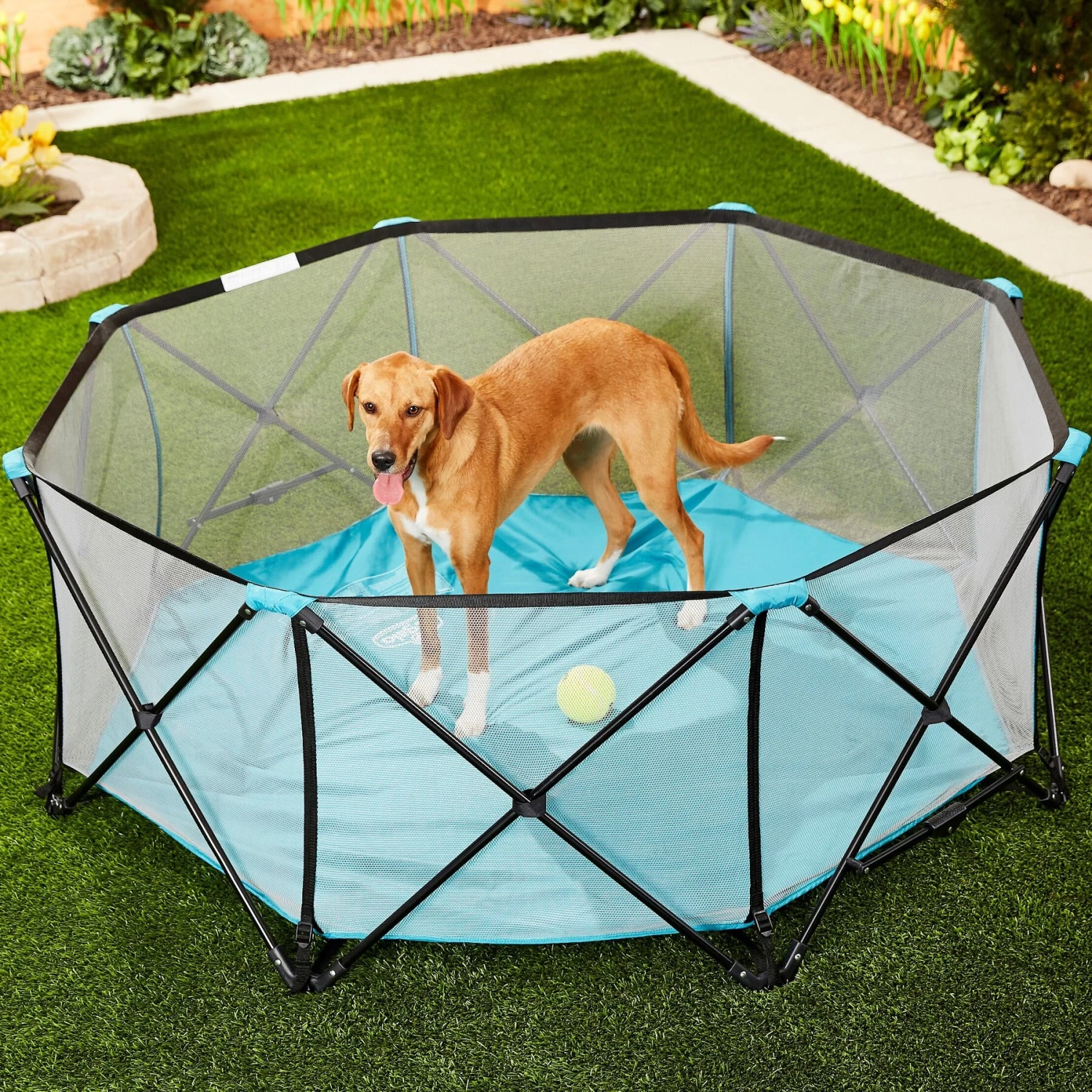 Regalo Pet Products My Play Portable Soft-sided Dog & Cat Playpen