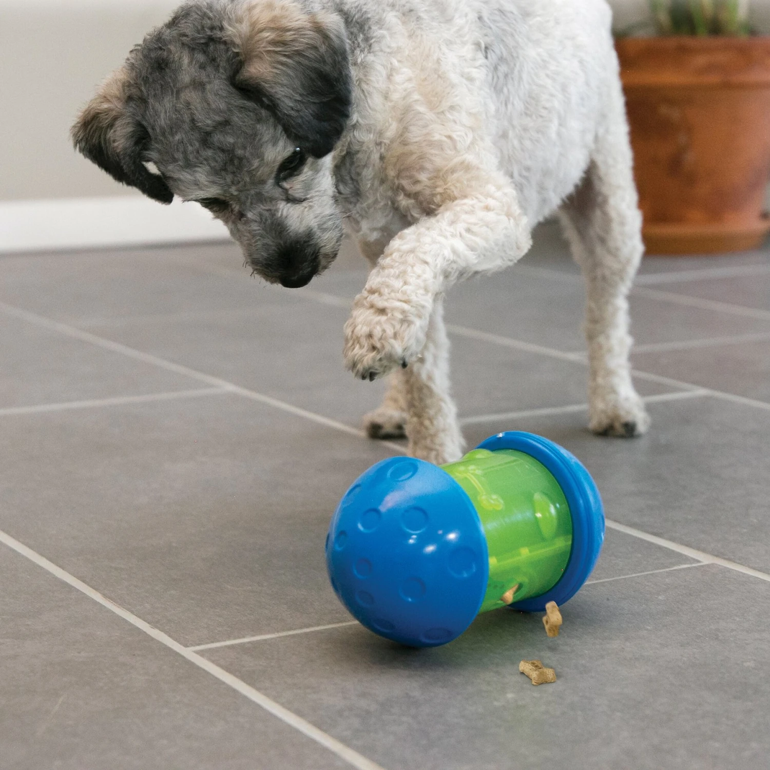 KONG Spin It Dog Toy - Image 3