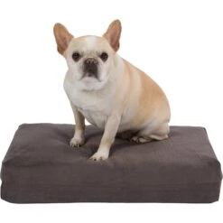 Pet Support Systems Gel Memory Foam Pillow Dog Bed
