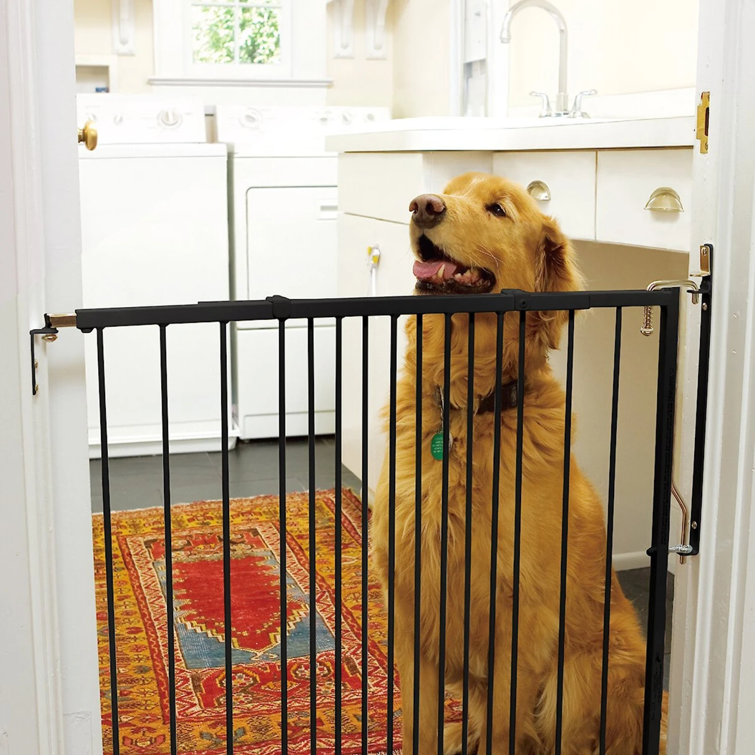 Cardinal Gates Duragate Dog Gate
