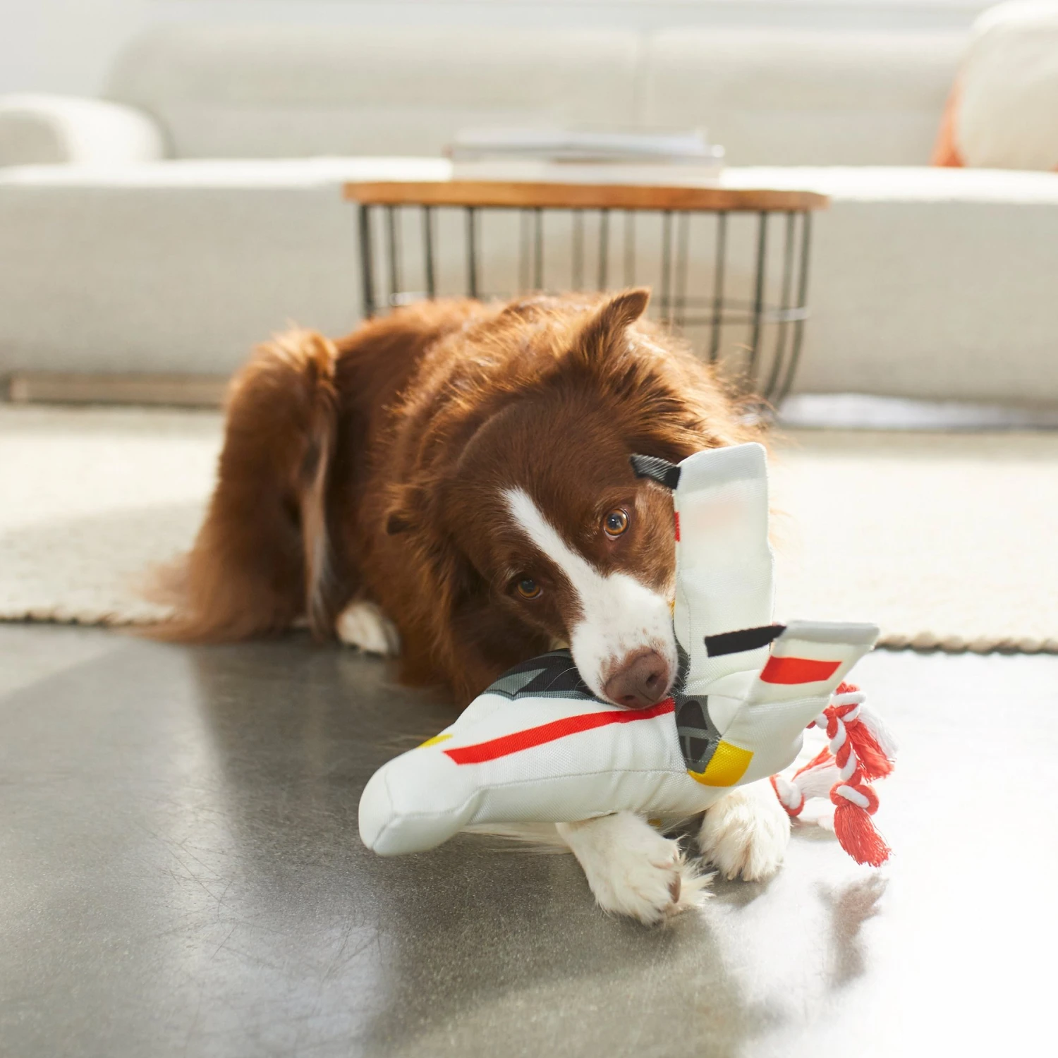 STAR WARS X-WING STARFIGHTER Plush Squeaky Dog Toy - Image 3
