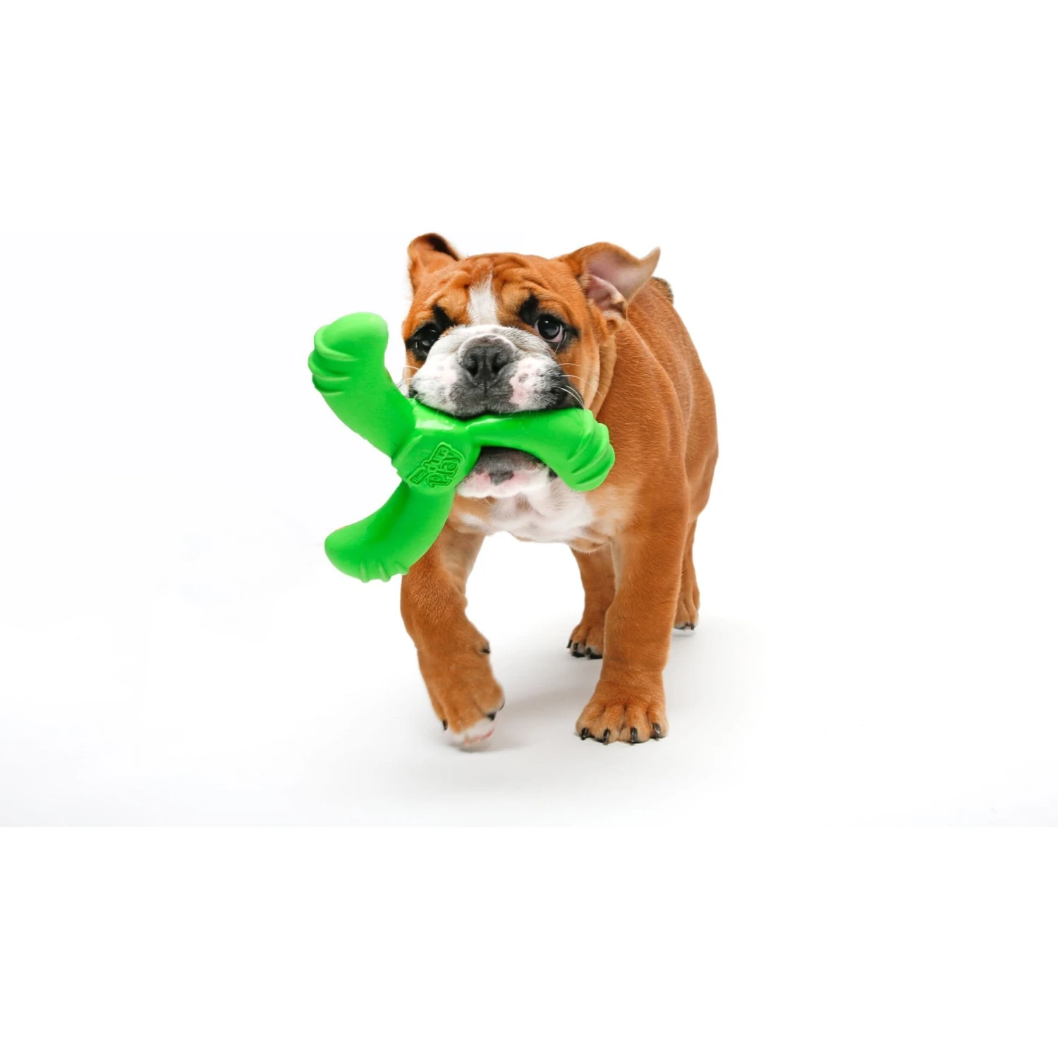 Hartz Dura Play Boomerang Bacon Scented Squeaky Latex Dog Toy, Color Varies - Image 5
