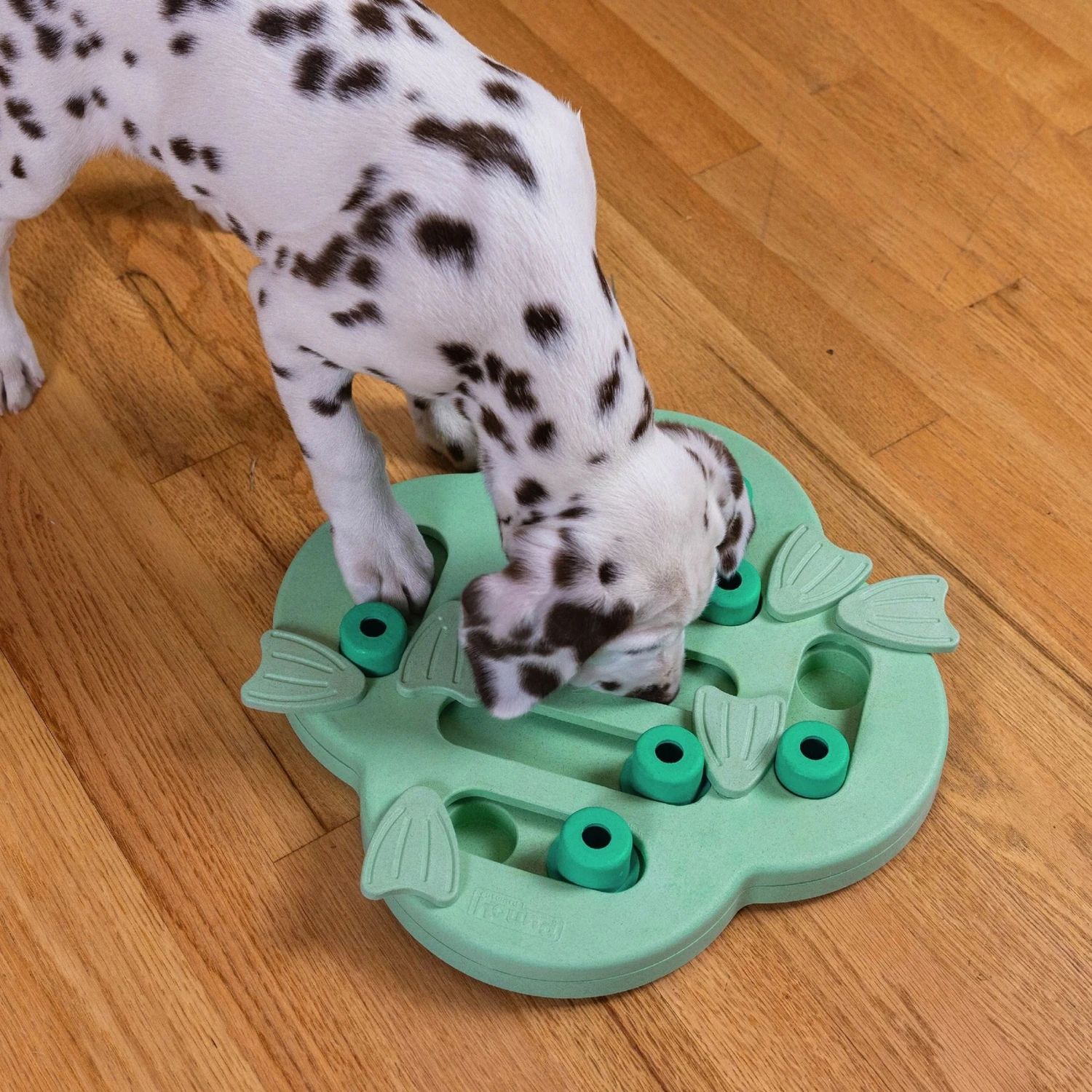 Nina Ottosson By Outward Hound Dog Hide N Slide Dog Toy - Image 2