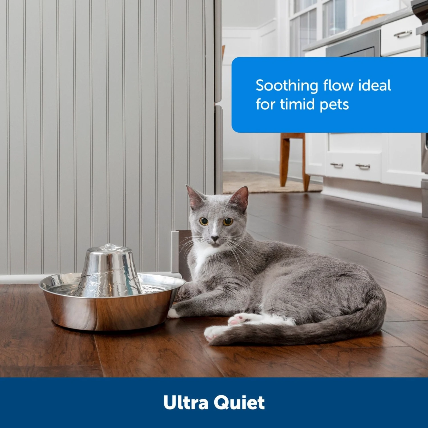 PetSafe Seaside Stainless Steel Cat Water Fountain, 60-oz - Image 5