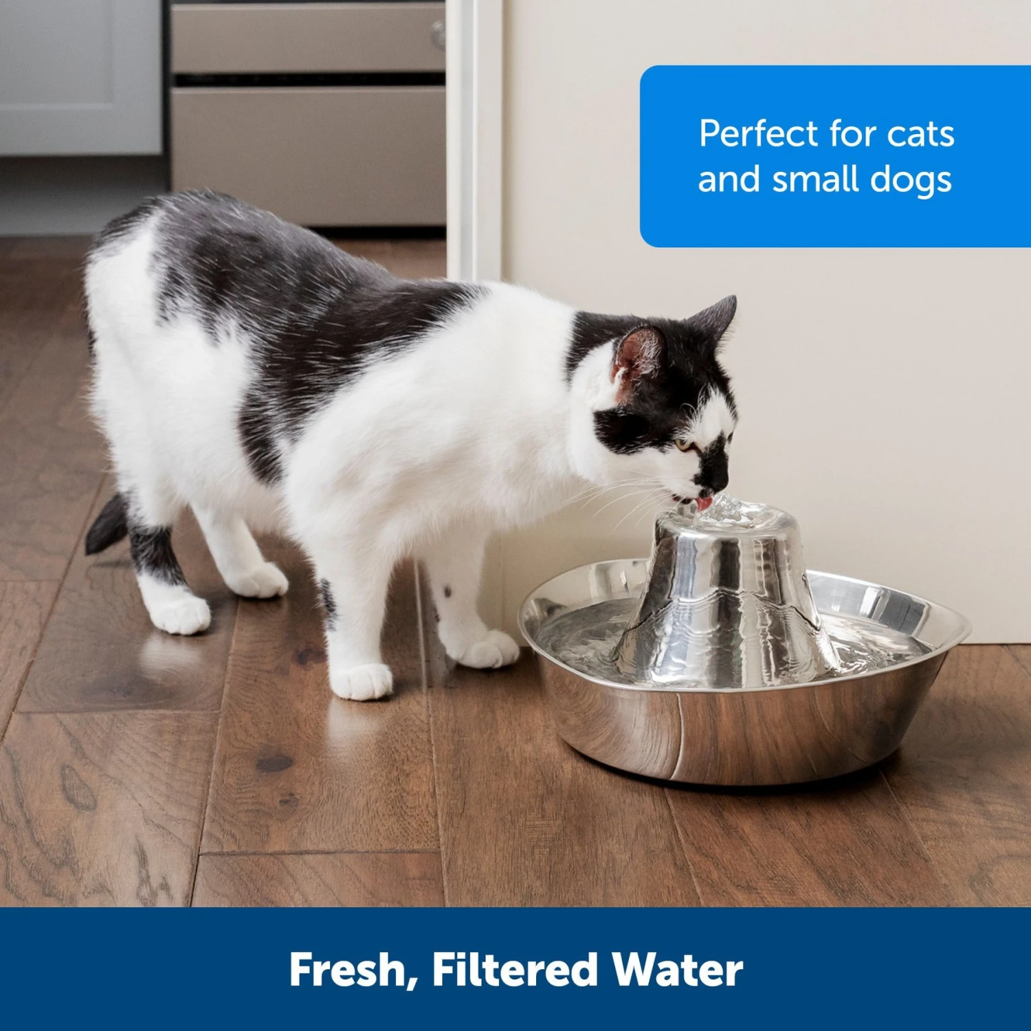 PetSafe Seaside Stainless Steel Cat Water Fountain, 60-oz - Image 7
