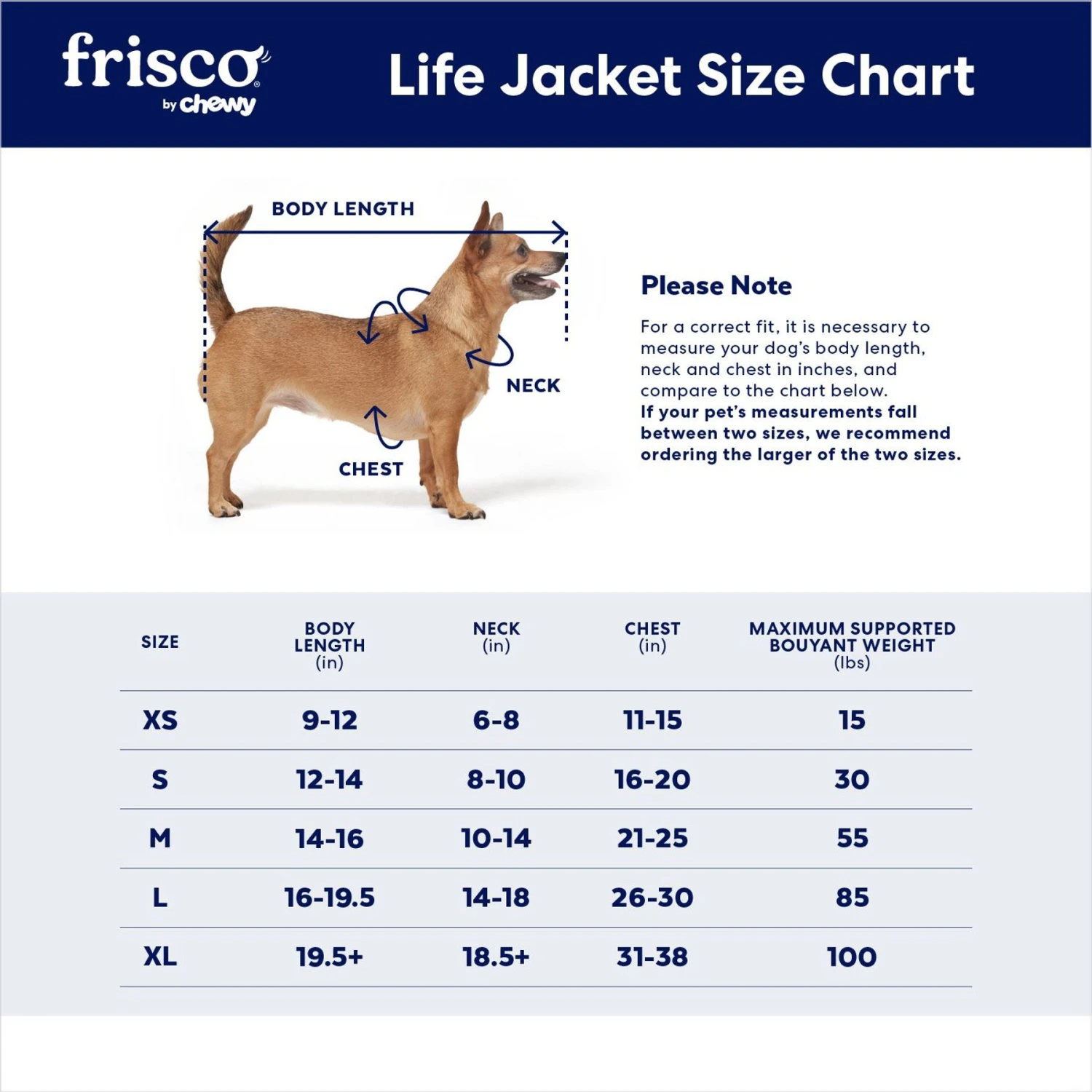 Frisco Rugged Dog Life Jacket - Image 2