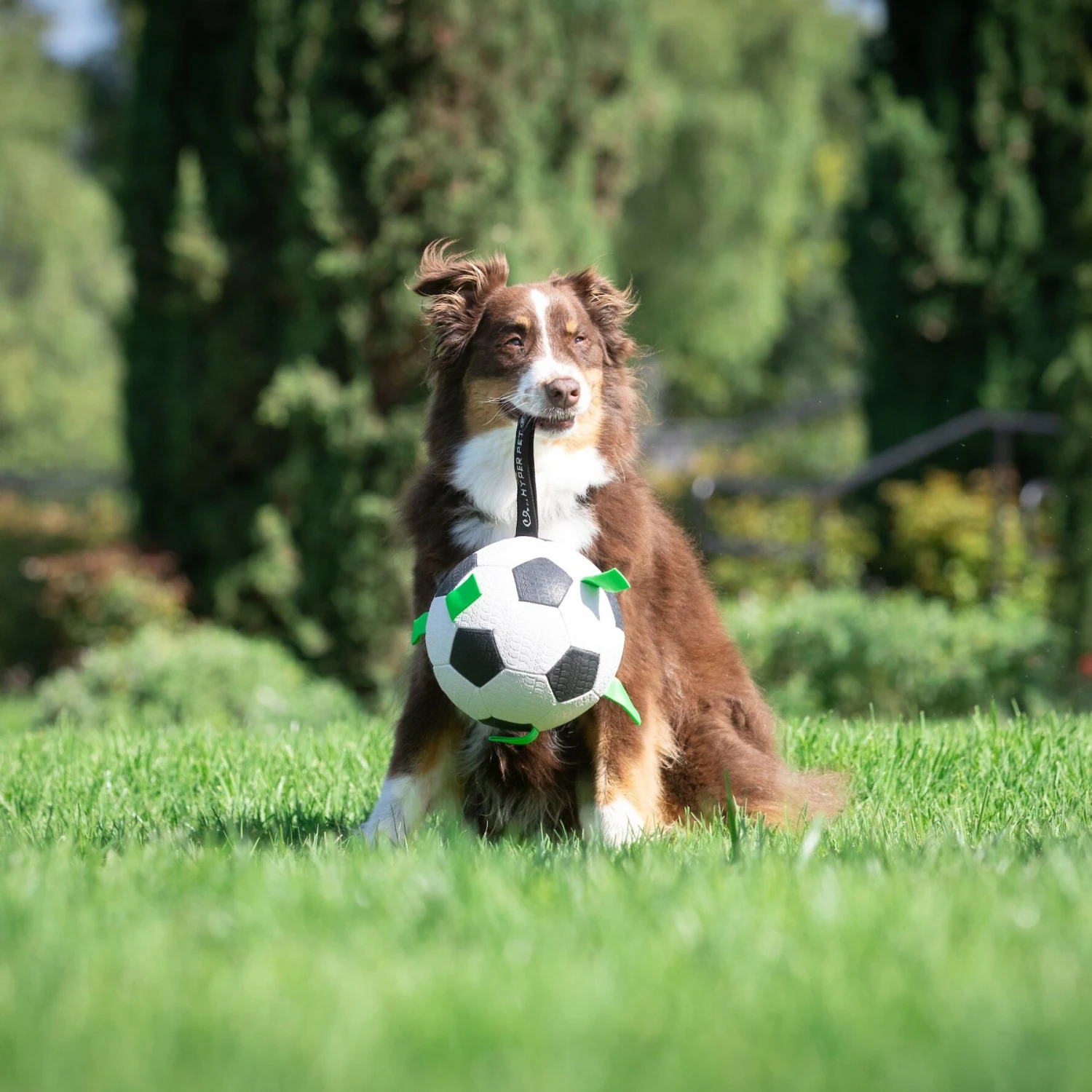 Hyper Pet Grab Tabs Soccer Ball Dog Toy - Image 2