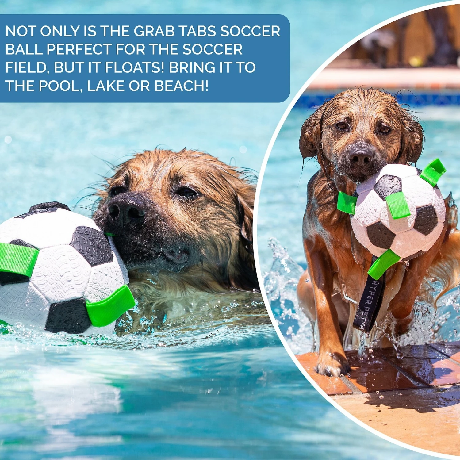 Hyper Pet Grab Tabs Soccer Ball Dog Toy - Image 5