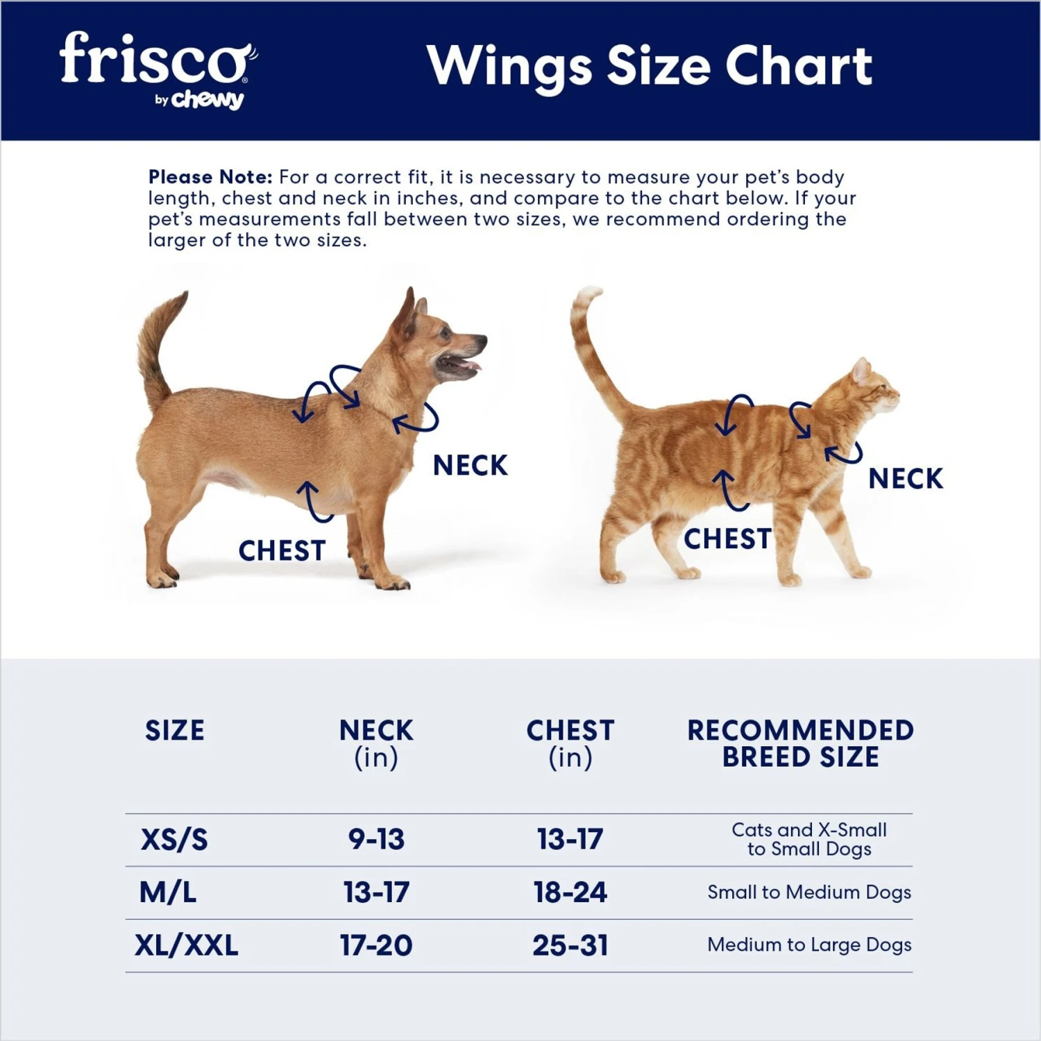 Frisco Bat Wings Dog & Cat Costume - Image 2