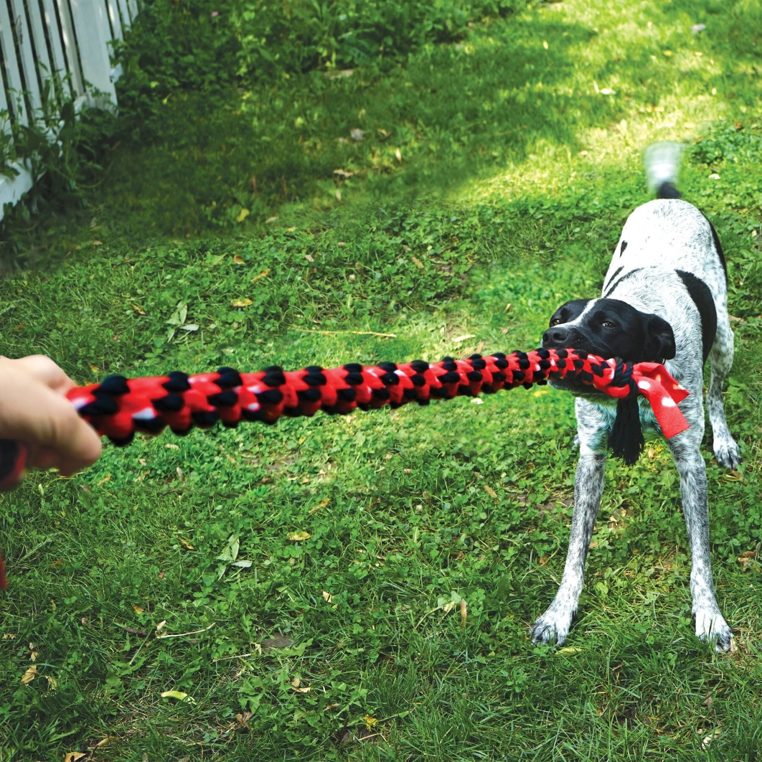 KONG Signature Dual Knot Tug Rope Dog Toy - Image 3