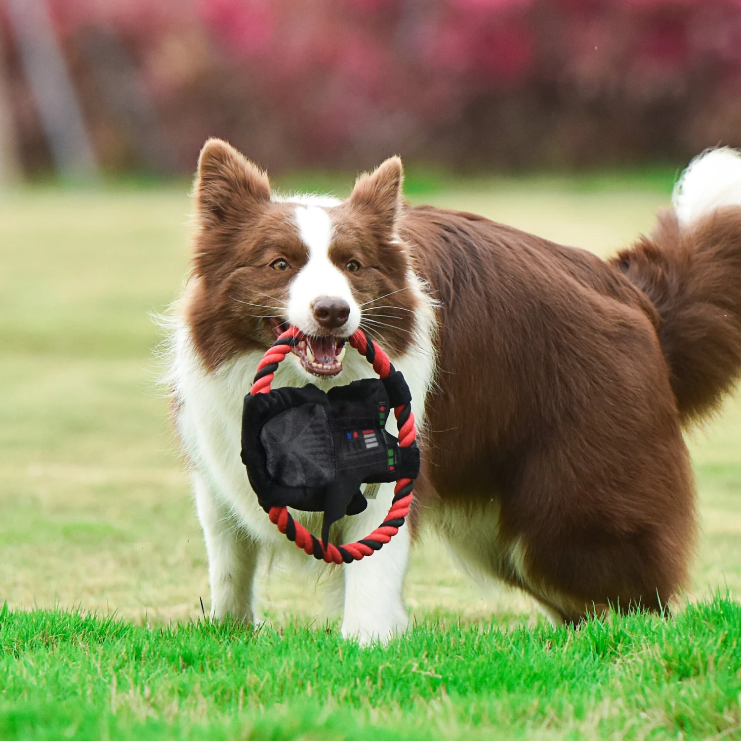 Fetch For Pets Star Wars Darth Vader Plush Rope Frisbee Dog Toy - Image 5