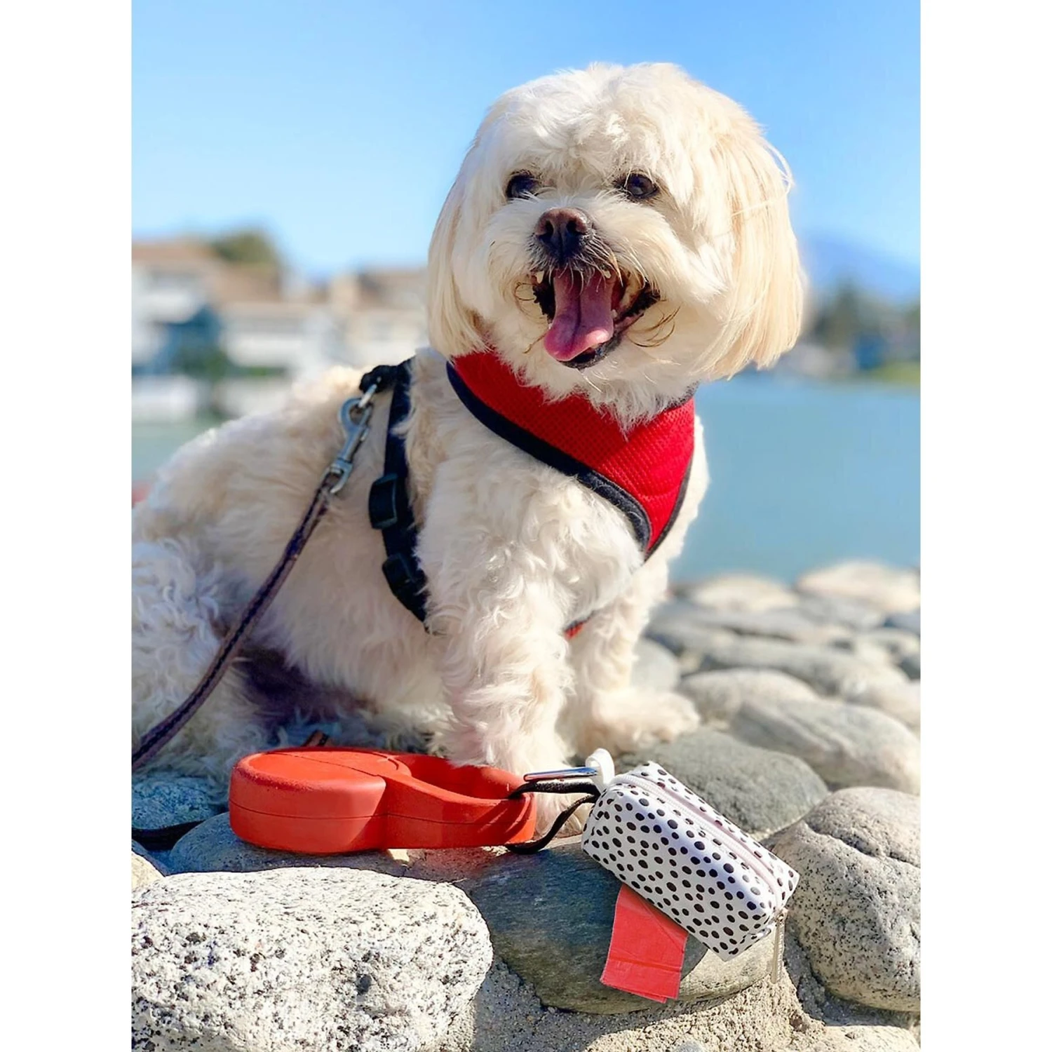 Doggie Walk Bags Scented Tie Handle Dog Poop Bags, Rainbow, 72 Count - Image 2