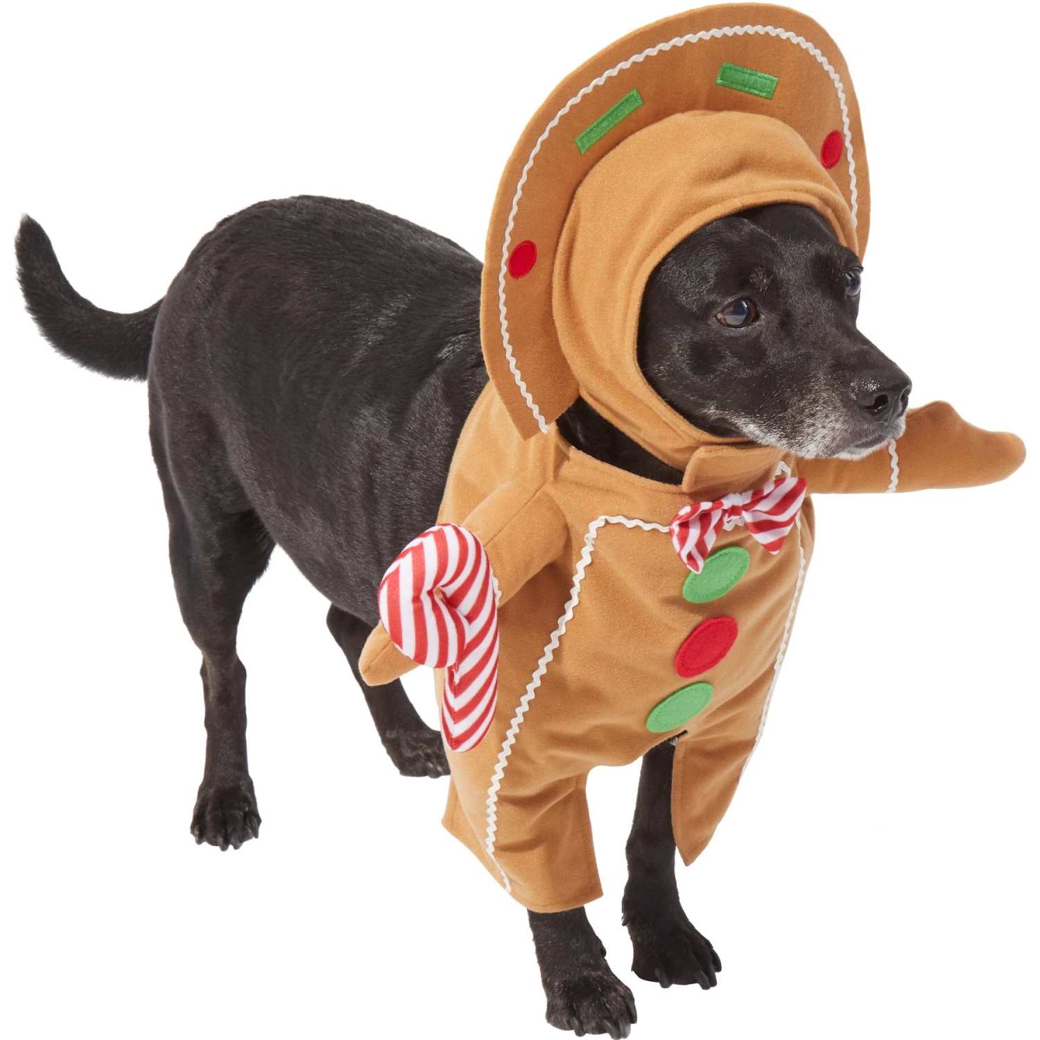 Frisco Front Walking Gingerbread Dog & Cat Costume - Image 3