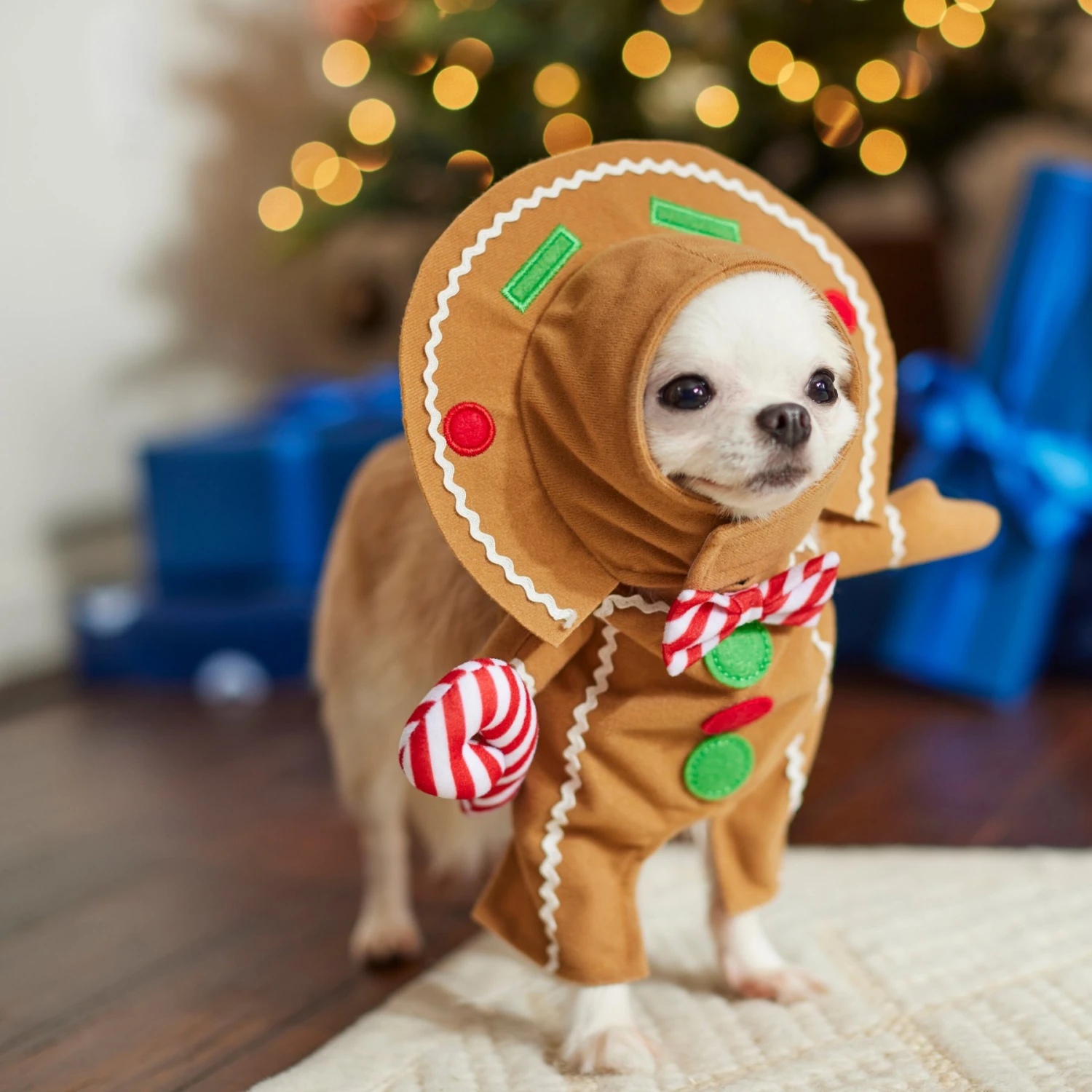 Frisco Front Walking Gingerbread Dog & Cat Costume - Image 8