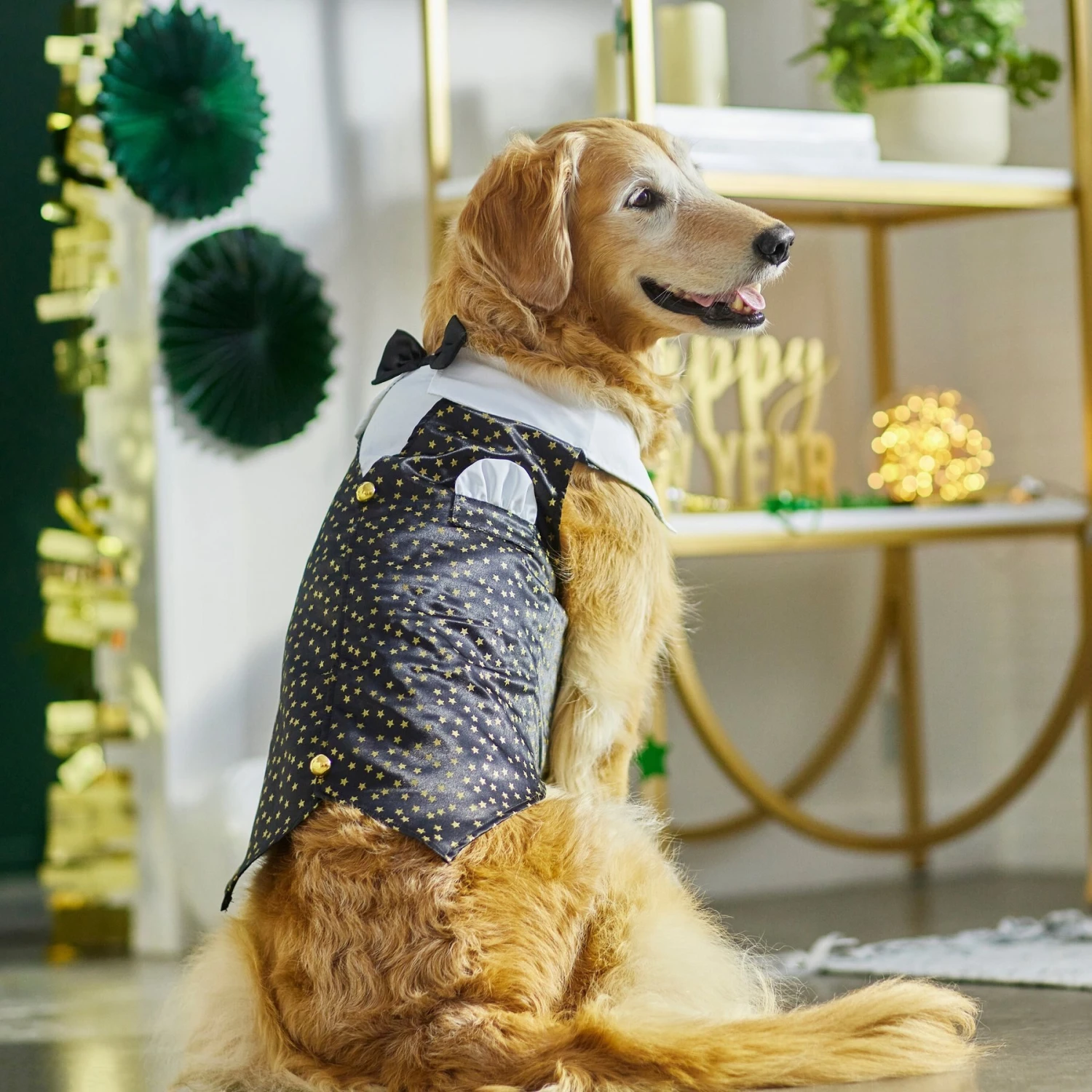 Wagatude Star Print Dog Vest - Image 4