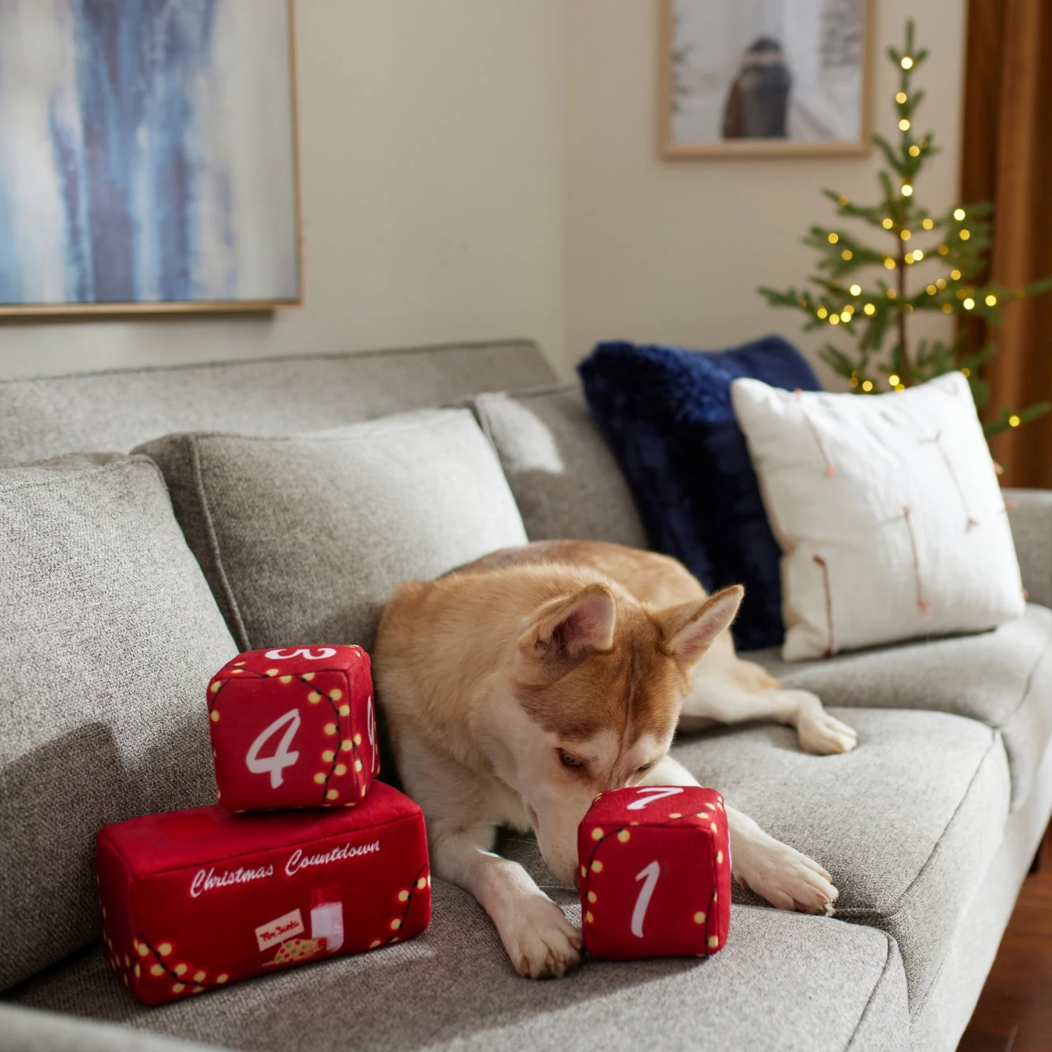 Frisco Holiday 12 Day Countdown Blocks Plush Squeaky Dog Toy, 3 Count - Image 3