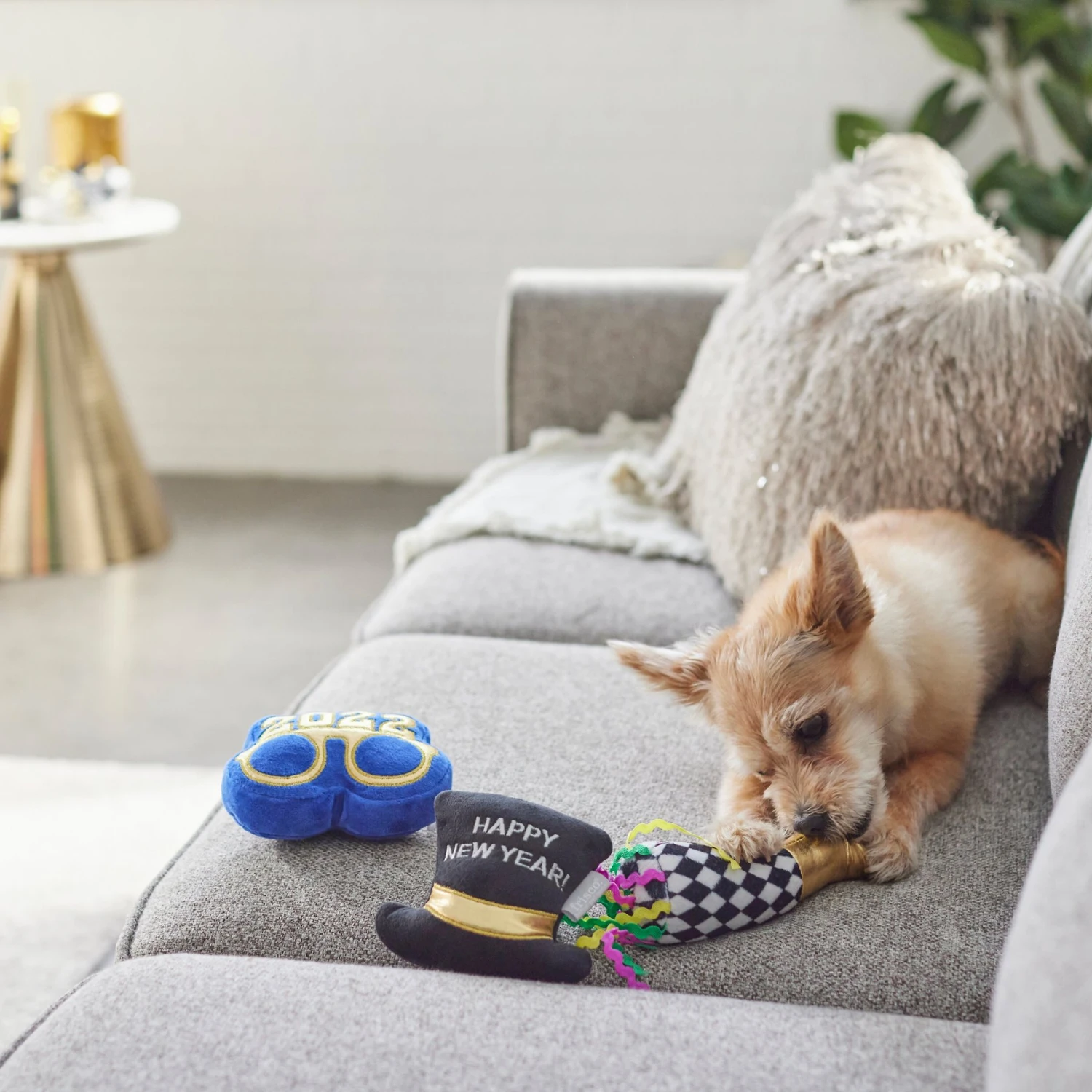 Frisco New Year's Eve Party Essentials Plush Squeaky Dog Toy - Image 3