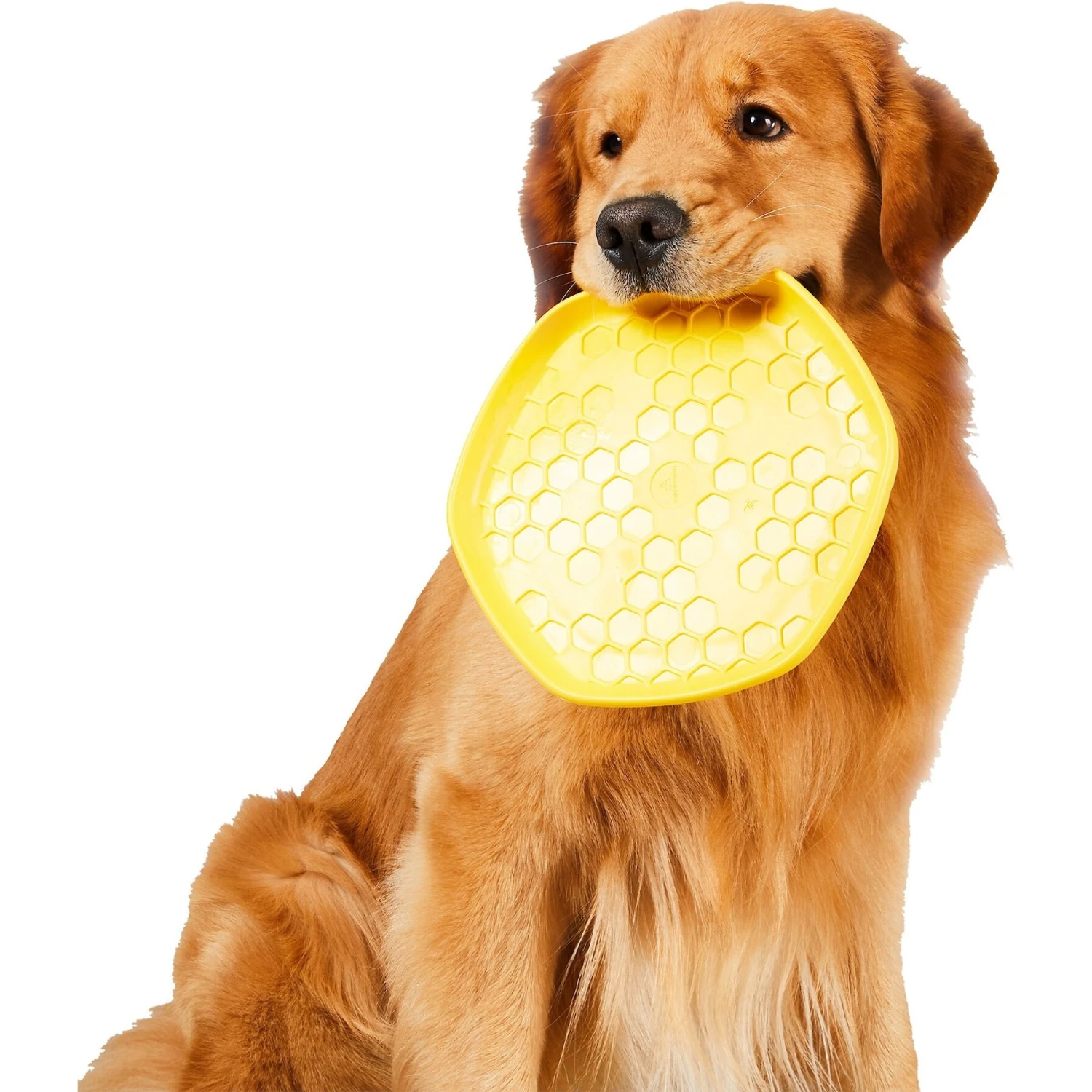 Project Hive Pet Company Frisbee Dog Toy - Image 2