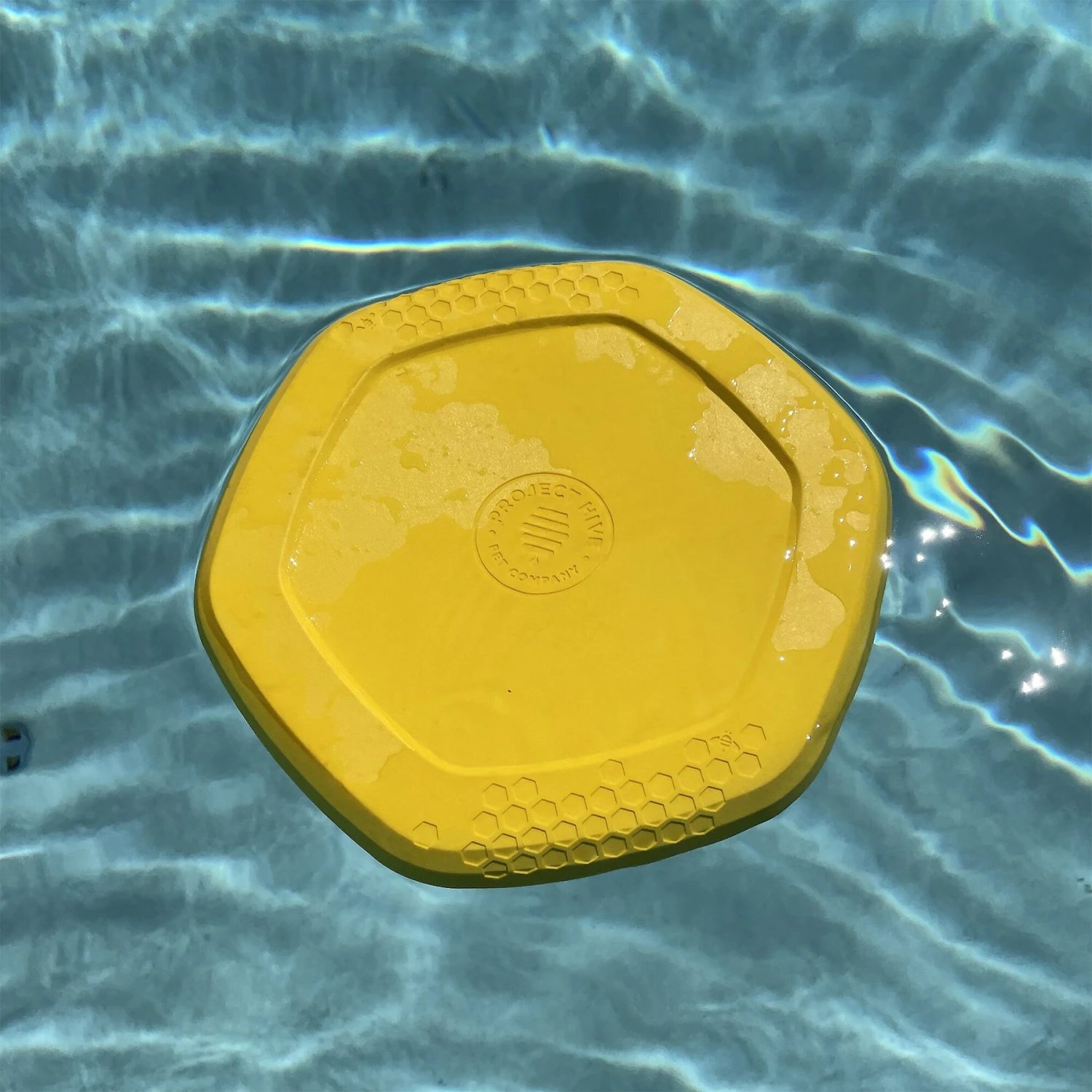 Project Hive Pet Company Frisbee Dog Toy - Image 3