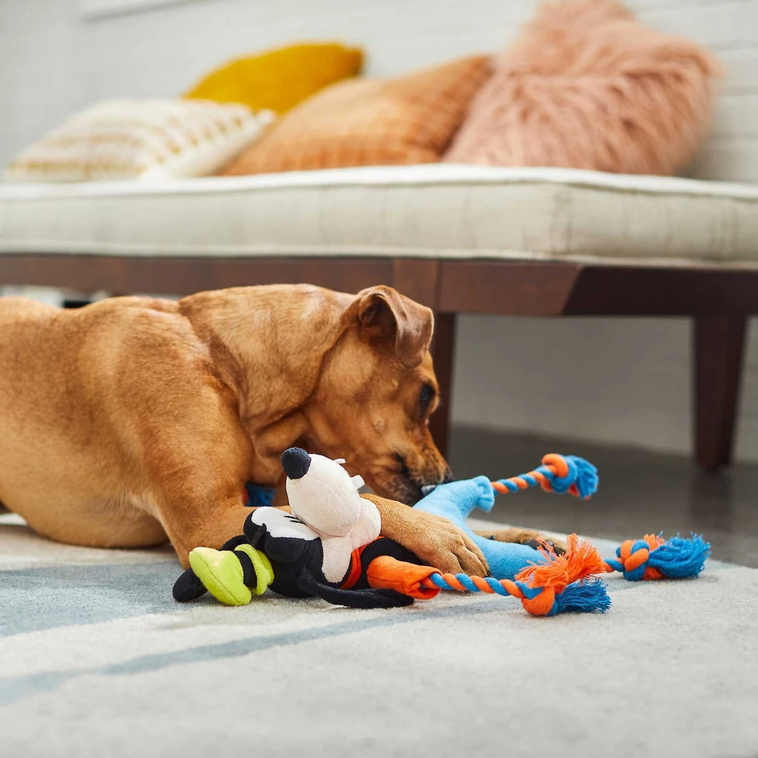 Disney Goofy Plush With Rope Squeaky Dog Toy & Disney Pluto Bottle Plush Squeaky Dog Toy - Image 4